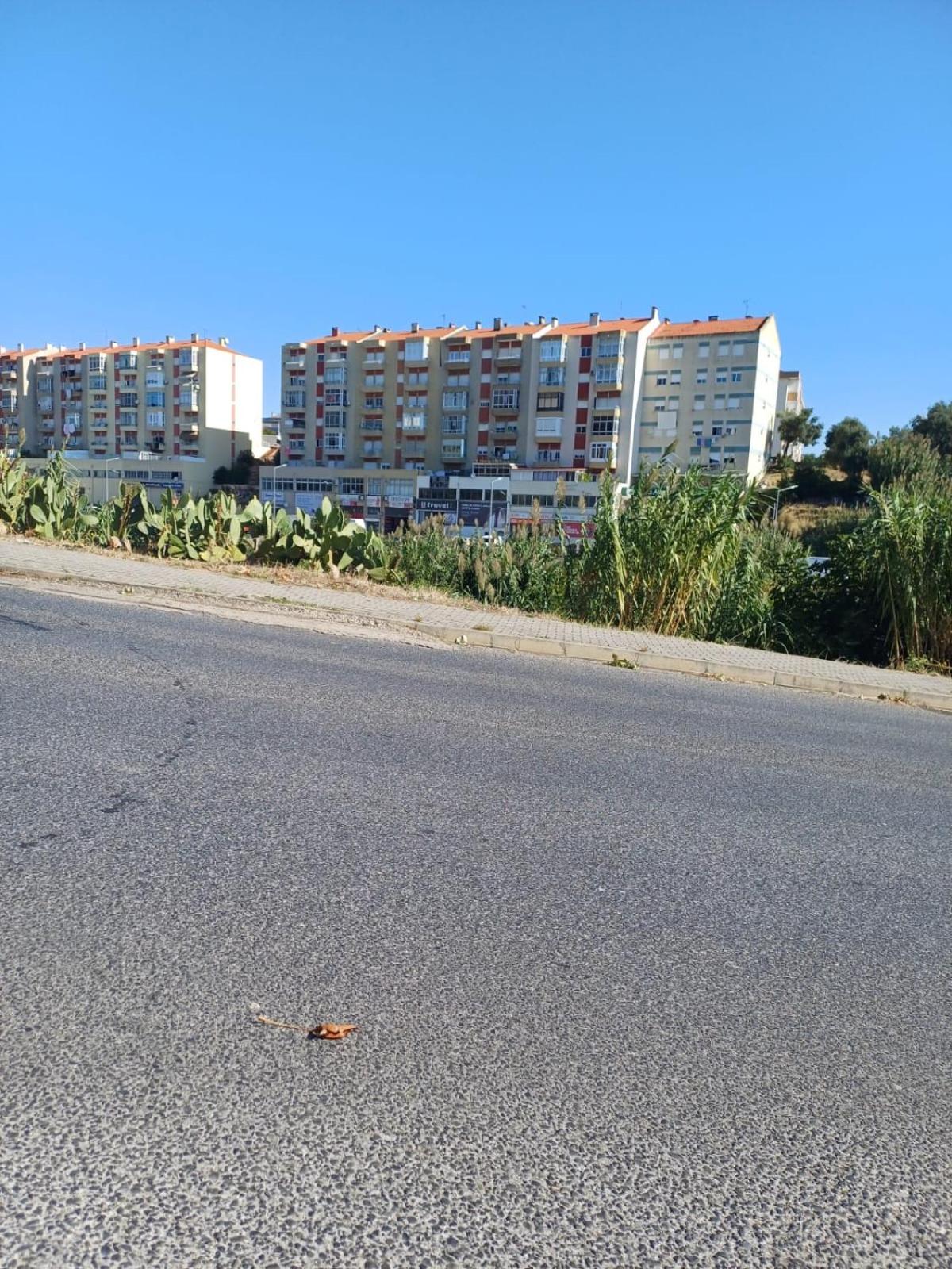 Helder&Joana Five Star Holiday