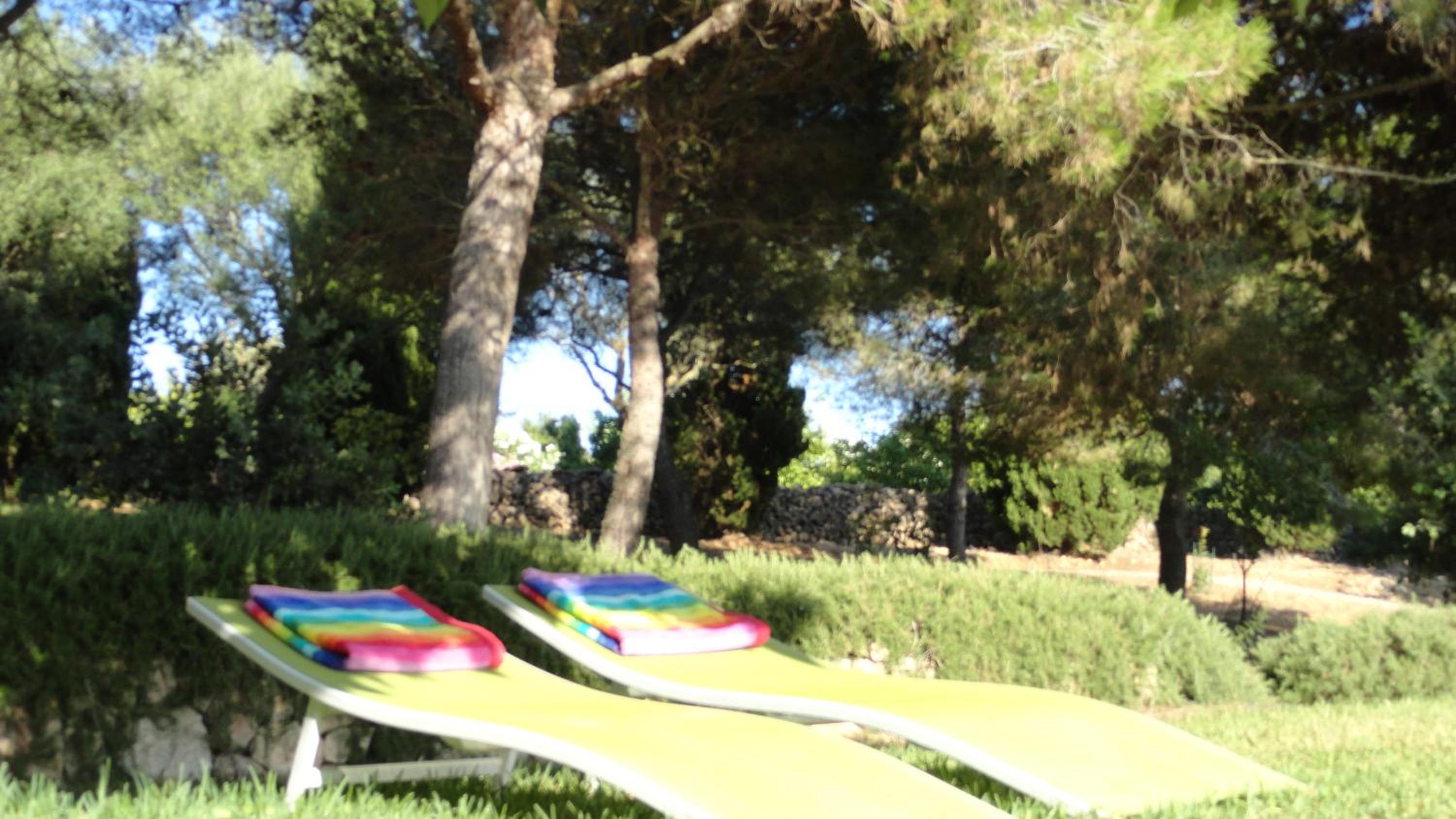 Finca Son Blat