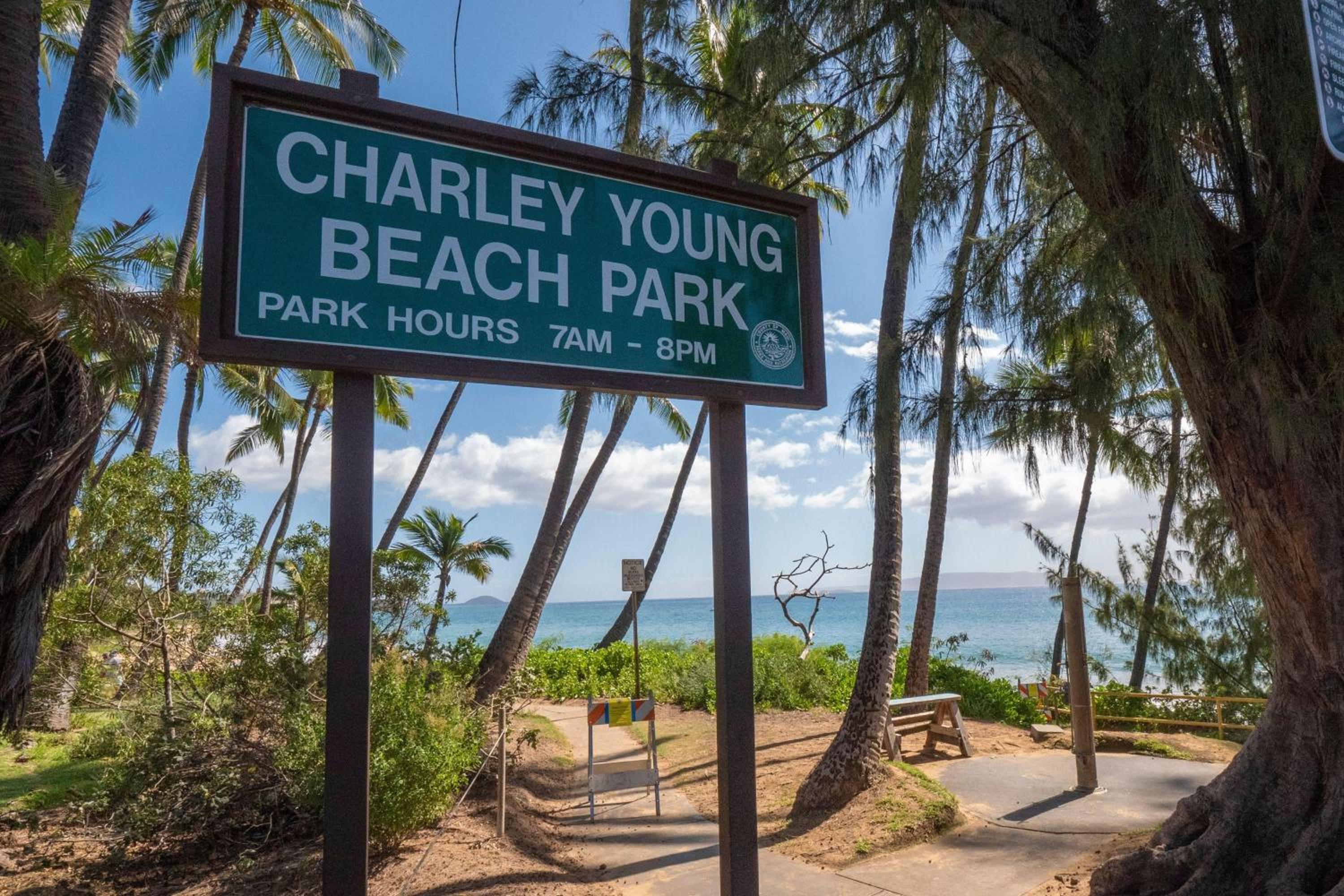 Maui Vista 1106 · MV 1106 Updated 1BD Condo Steps from Beach Poo