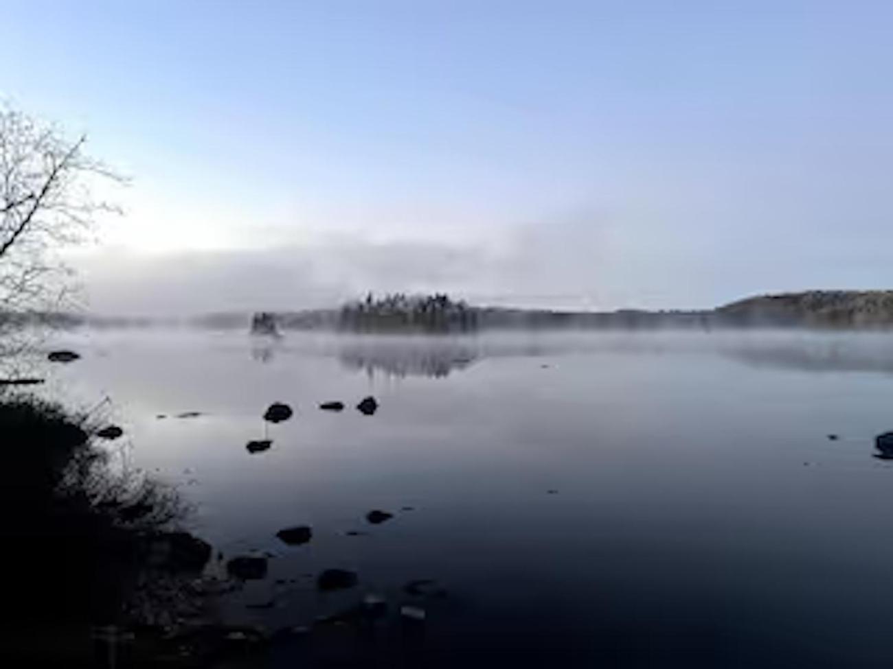 Chalet familial forêt & kayak