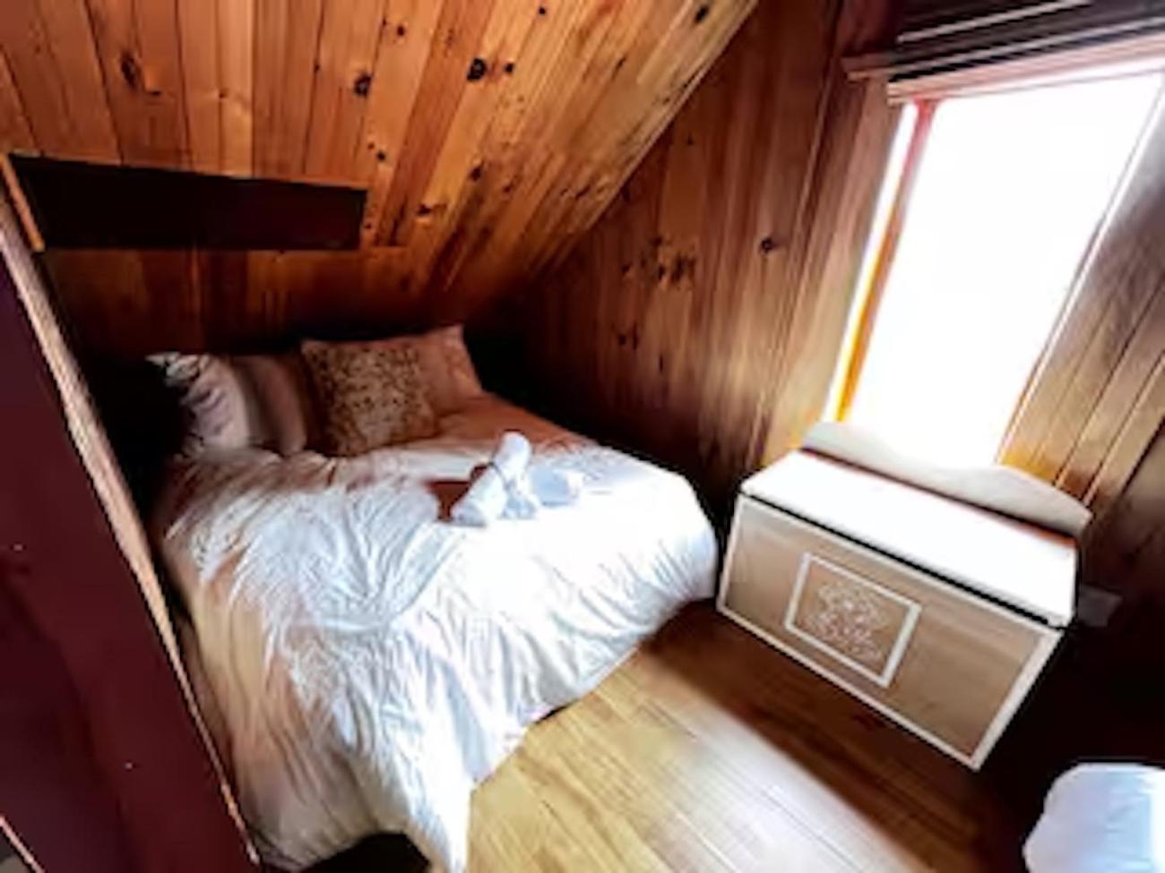 Chalet familial forêt & kayak