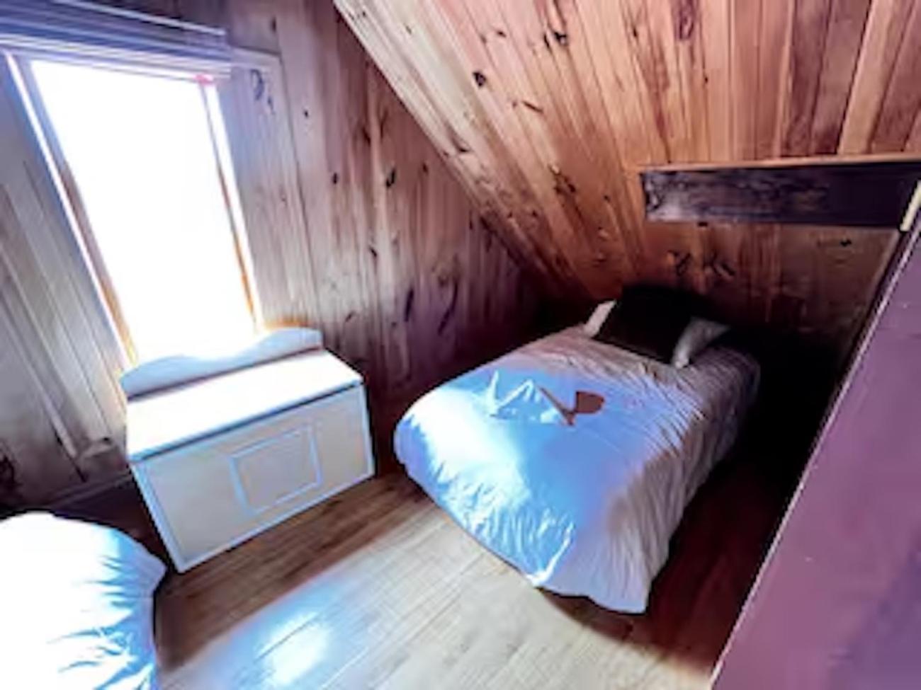 Chalet familial forêt & kayak