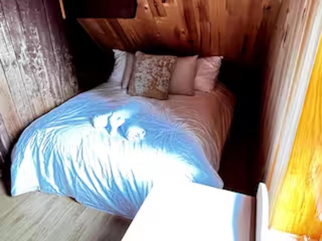 Chalet familial forêt & kayak