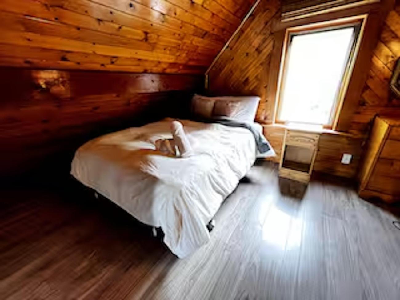 Chalet familial forêt & kayak