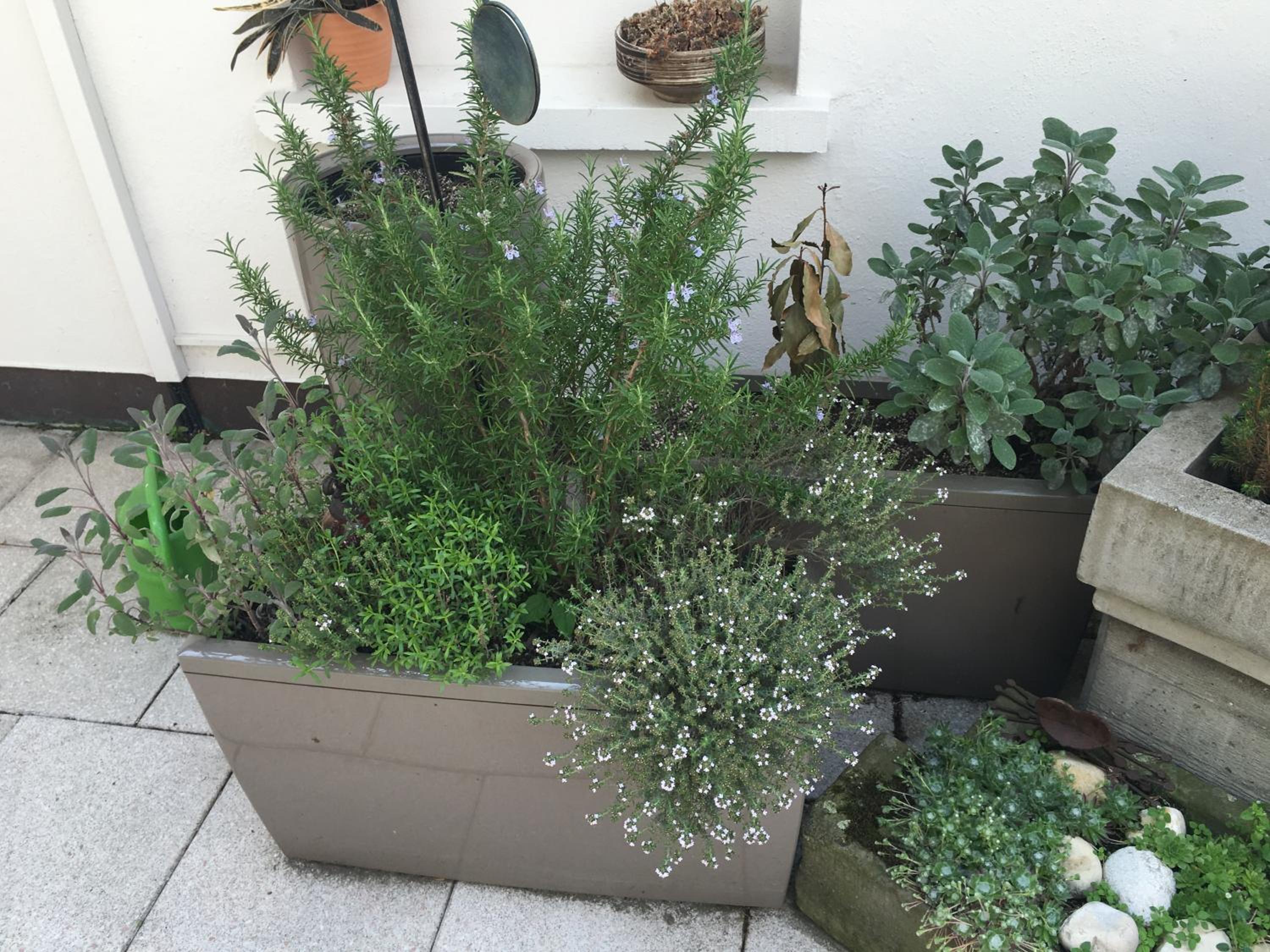 Mangolds Boutique Hotel & Fruehstuecksmeisterei, photo 45