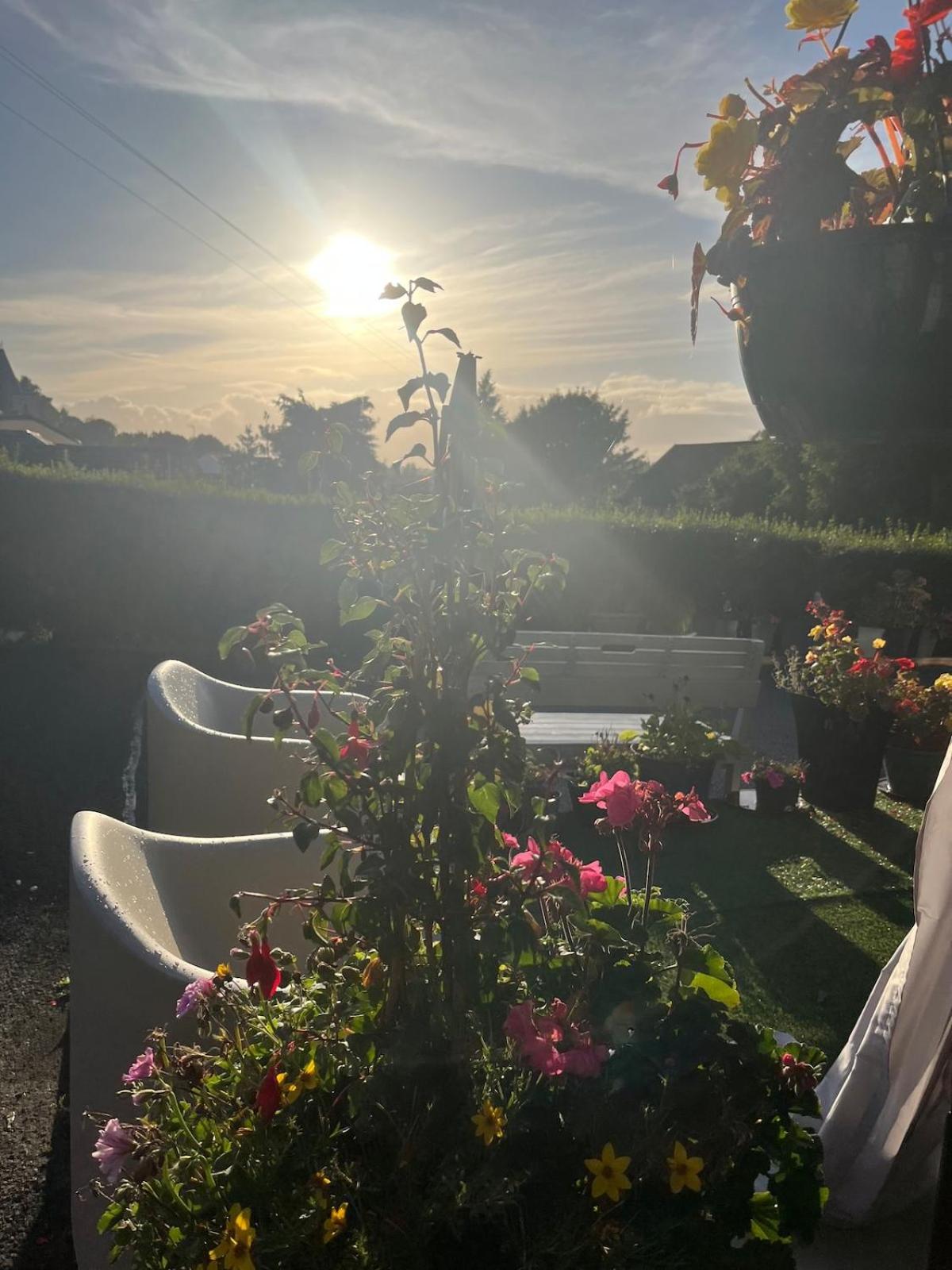 Sunset Retreat Cabin, Private Hot Tub with Mini Cinema Projector & Garden views