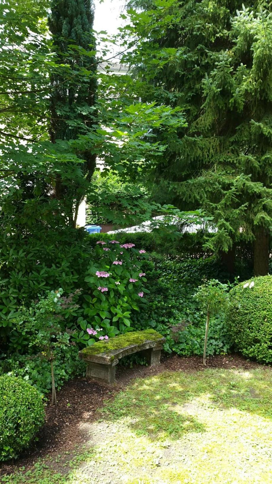 Photo 24