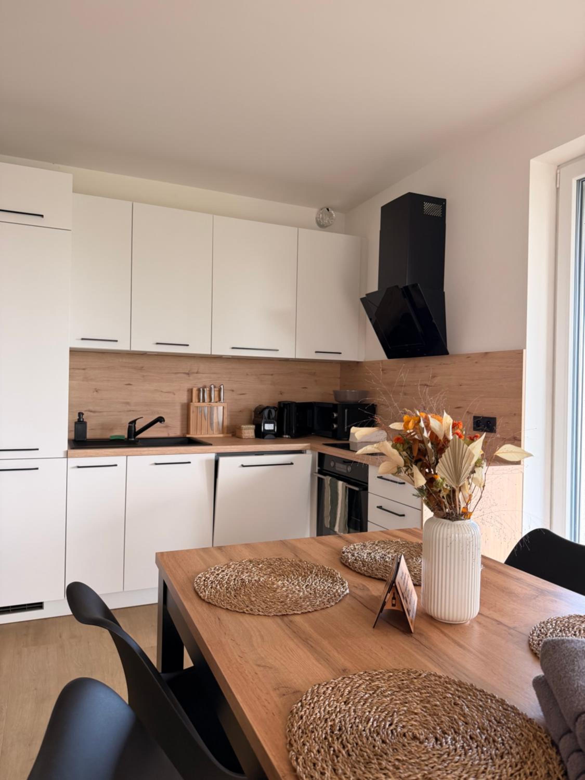 Slunečný apartmán s předzáhradkou Pasohlávky