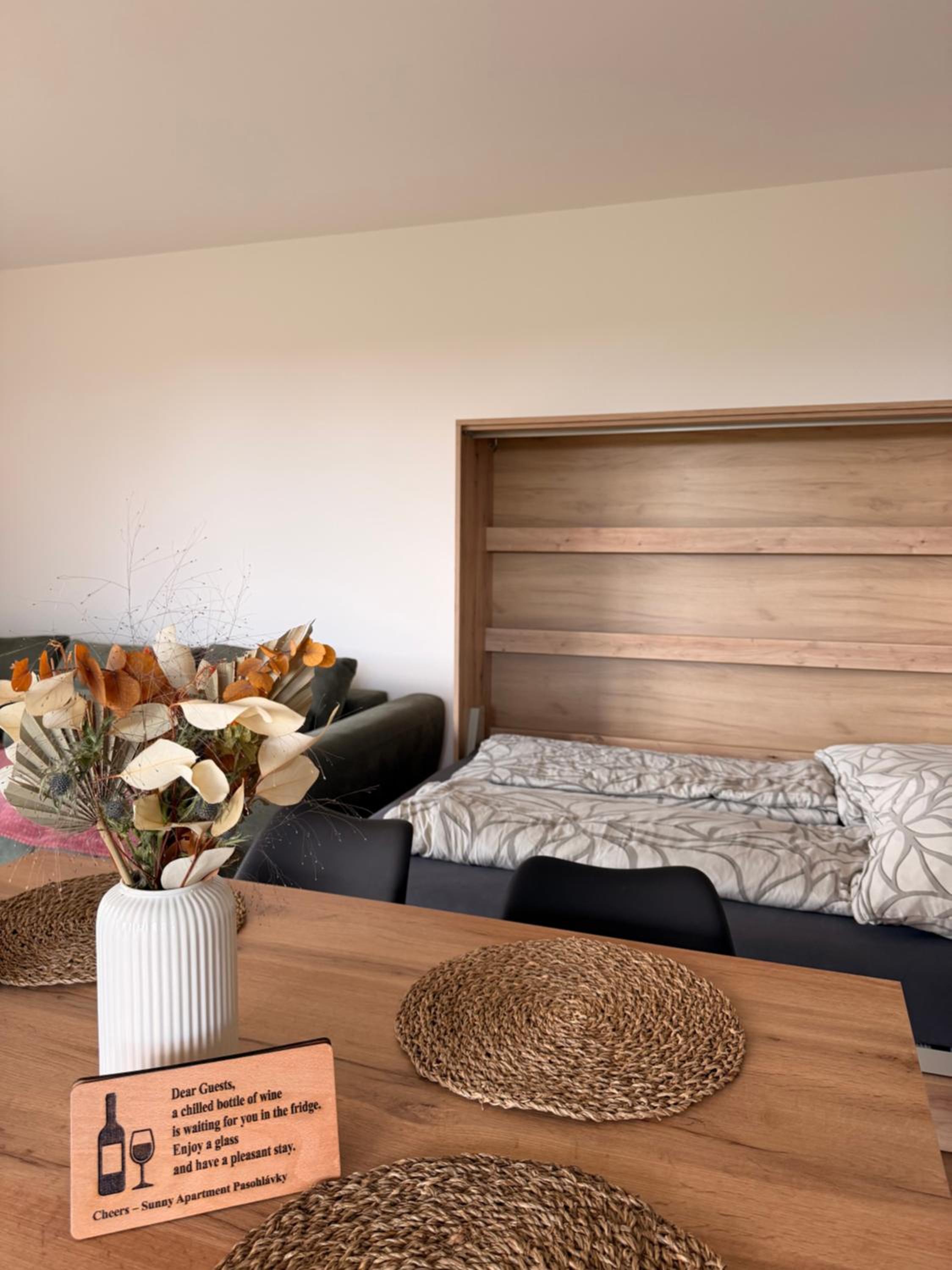 Slunečný apartmán s předzáhradkou Pasohlávky