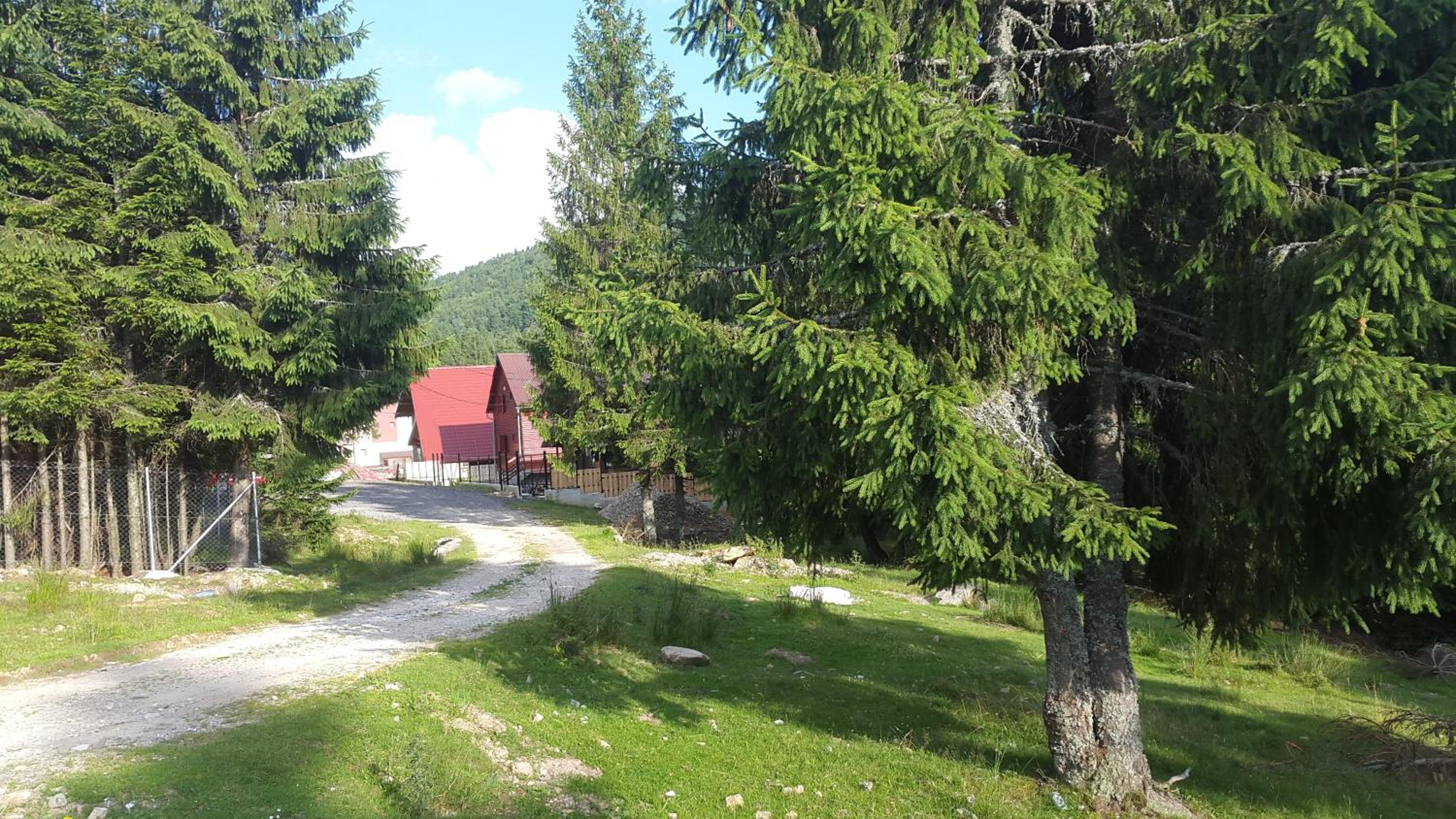 Photo 24