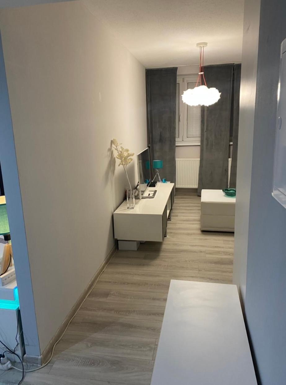 Modern Oasis
