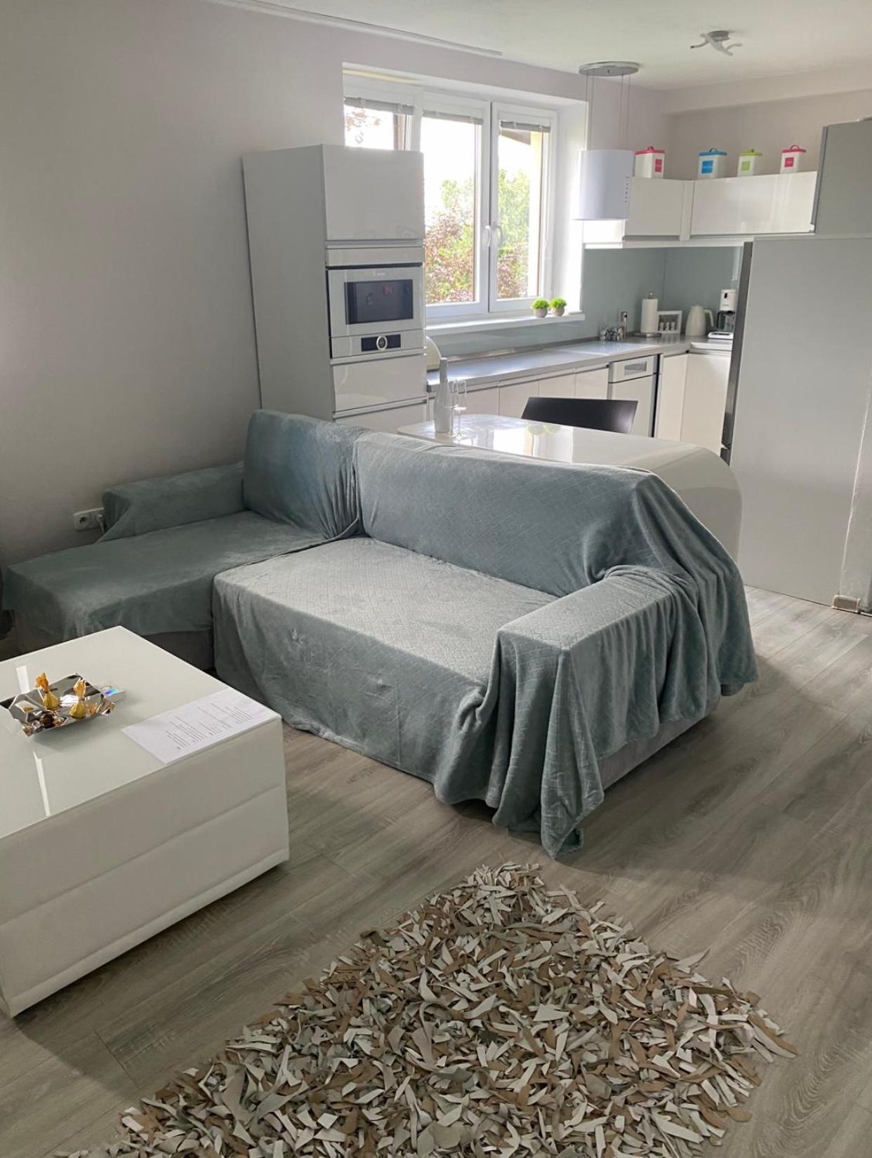 Modern Oasis
