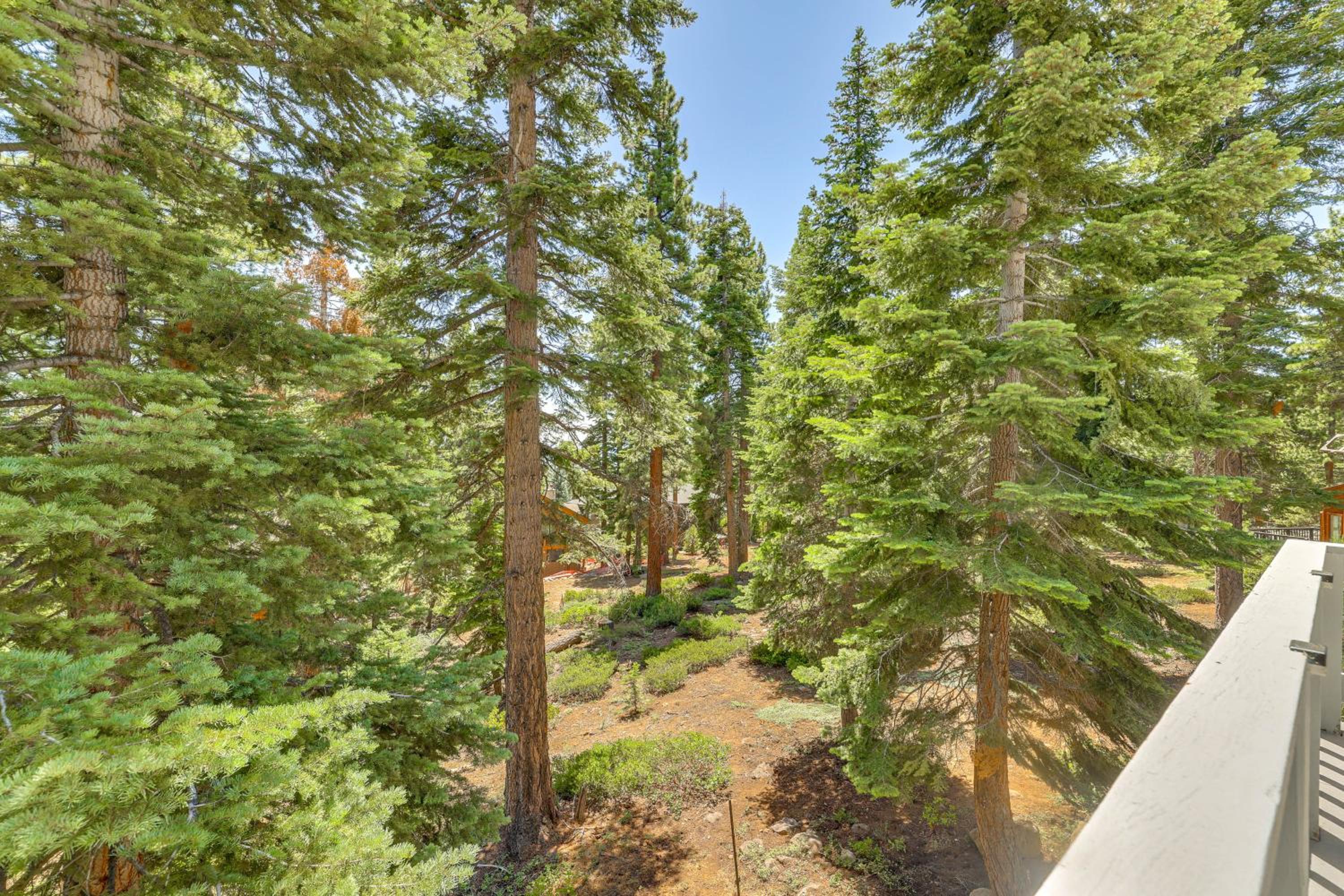 3 Mi to Lake Tahoe Forest-View Sanctuary with Deck!
