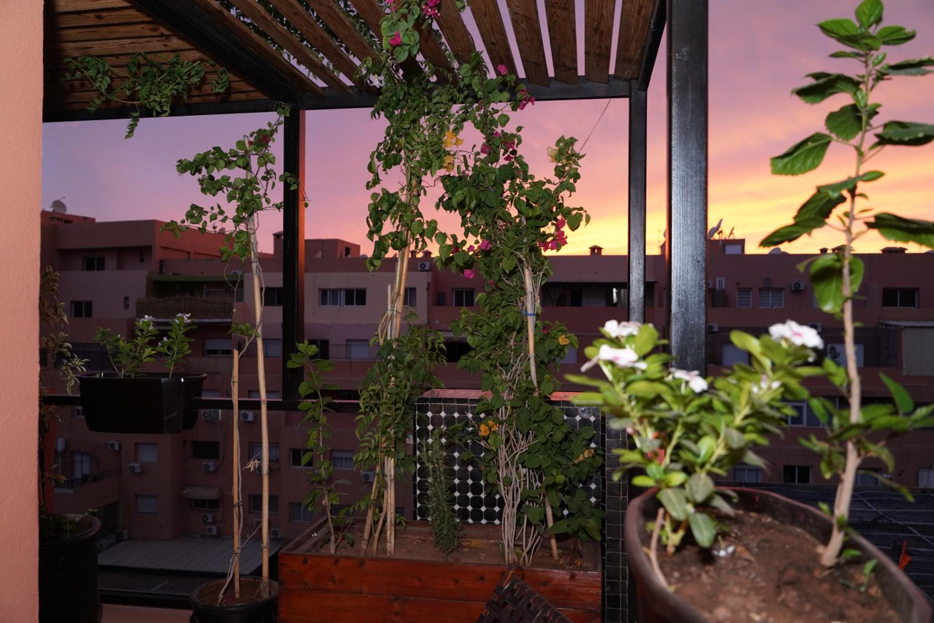 Design Art Gallery Apartment Marrakech swimming pool on the Roof