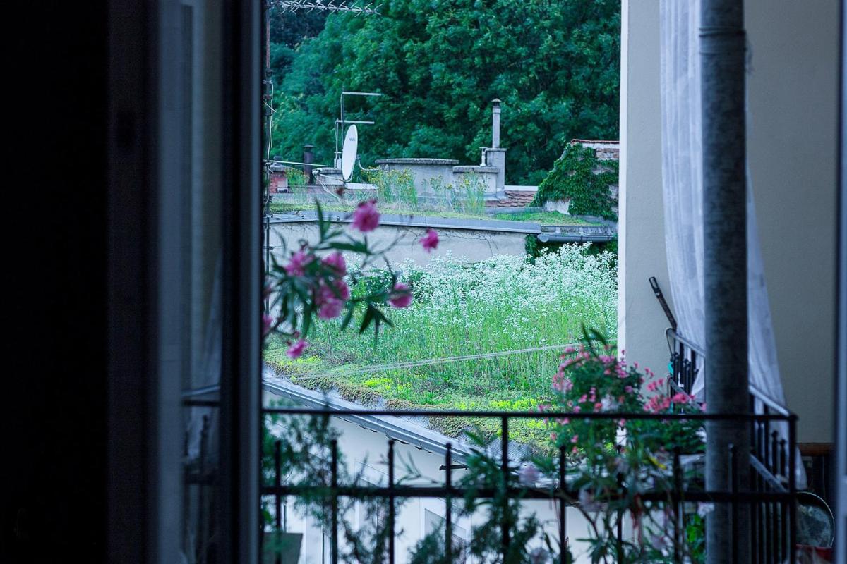 George Apartment view 5