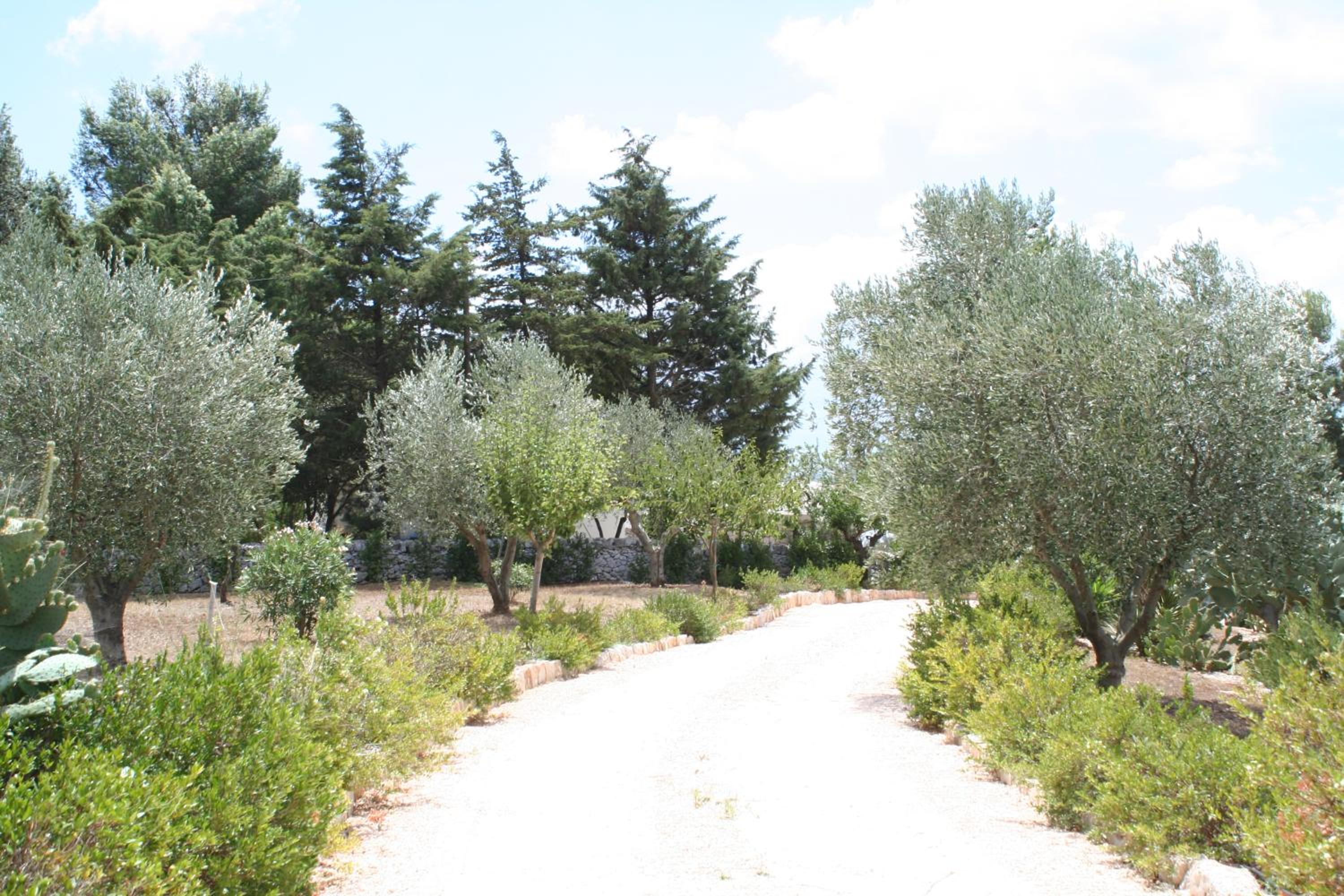Photo 43
