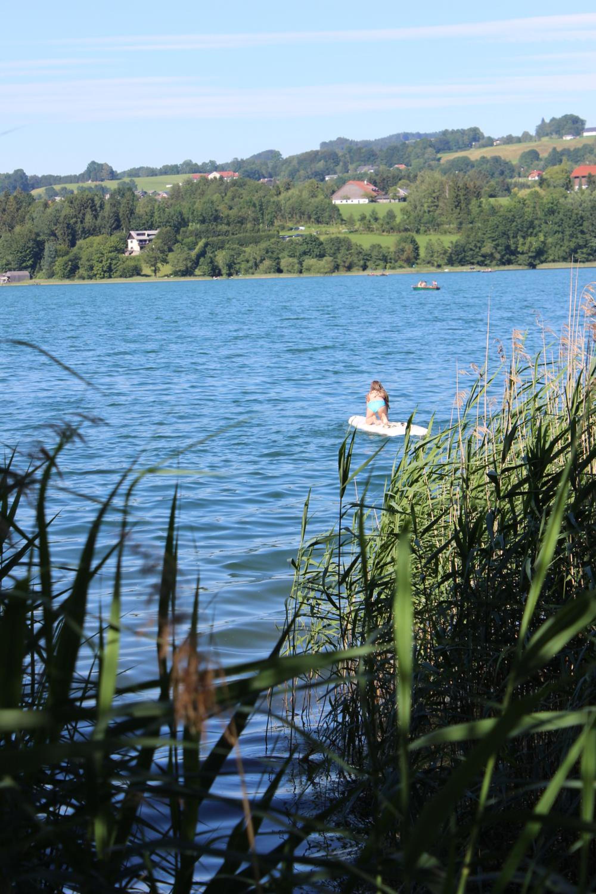 Bauernhof Schink