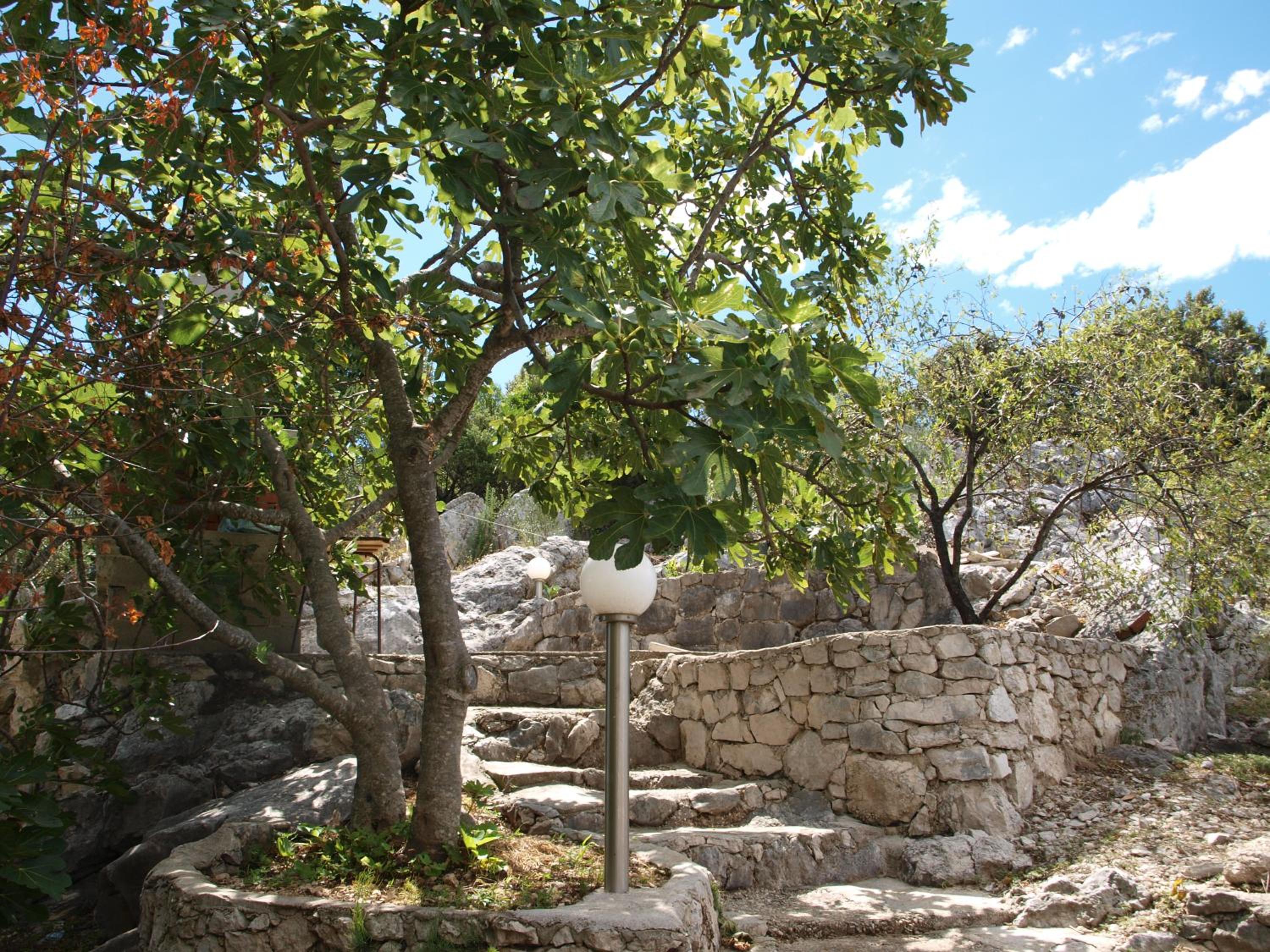 Photo 31