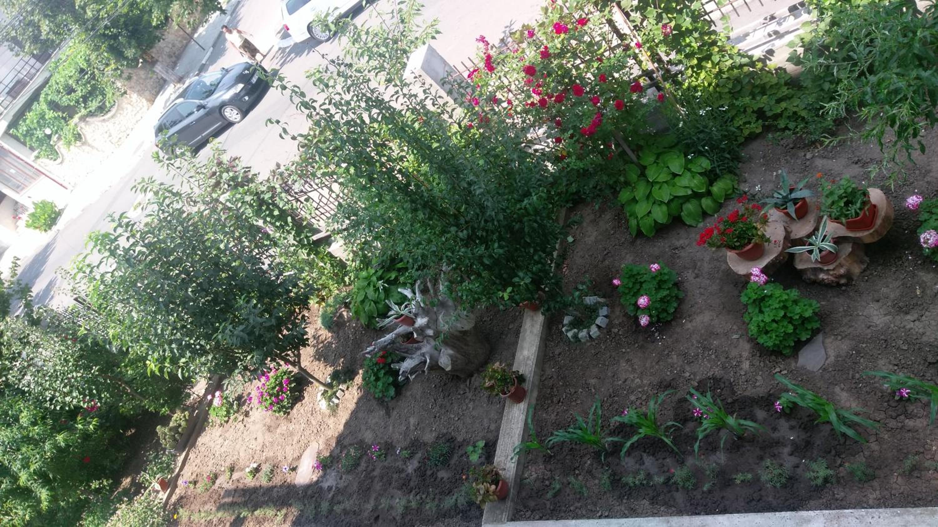Photo 48