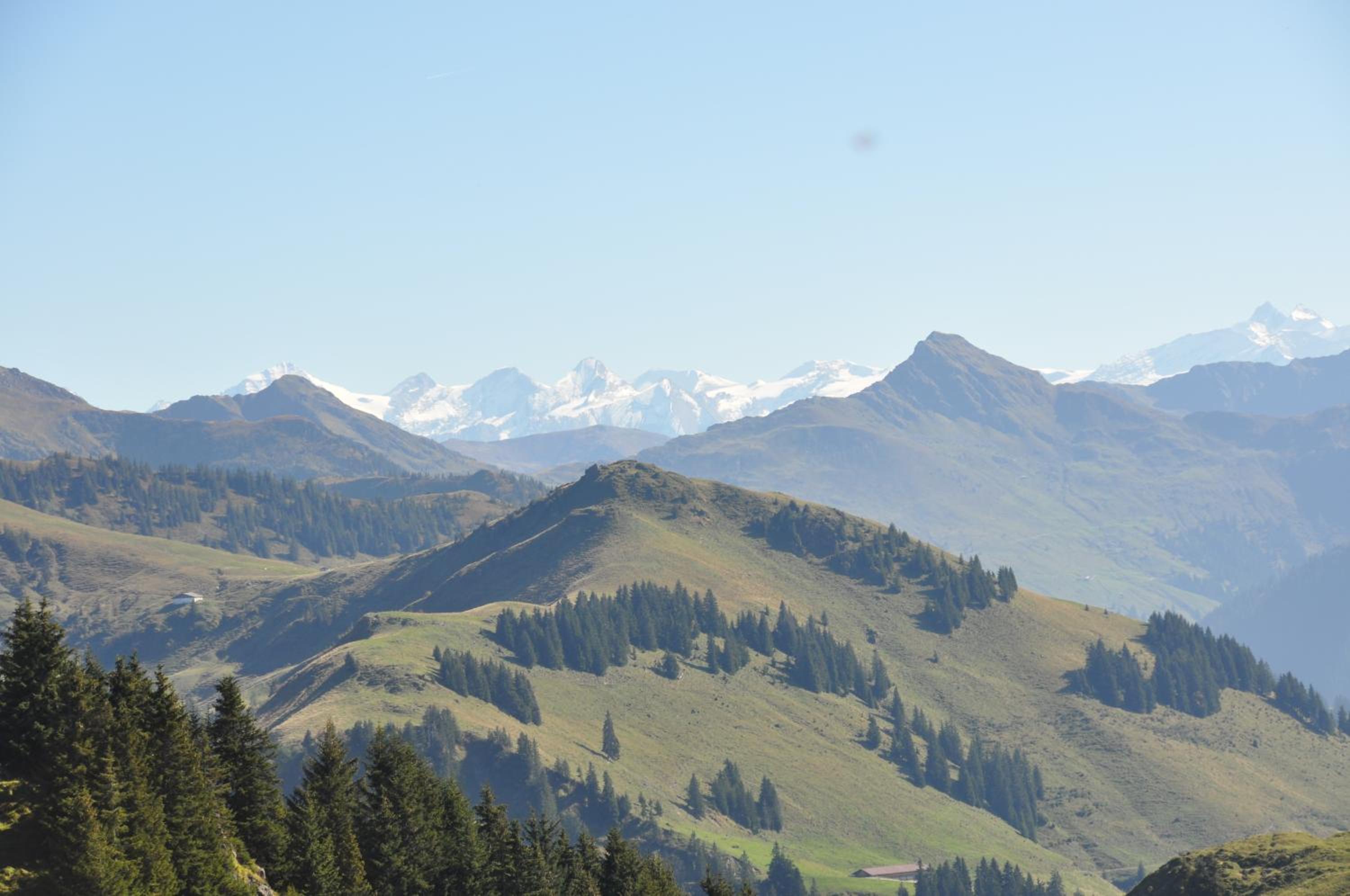 Pension Schmidinger