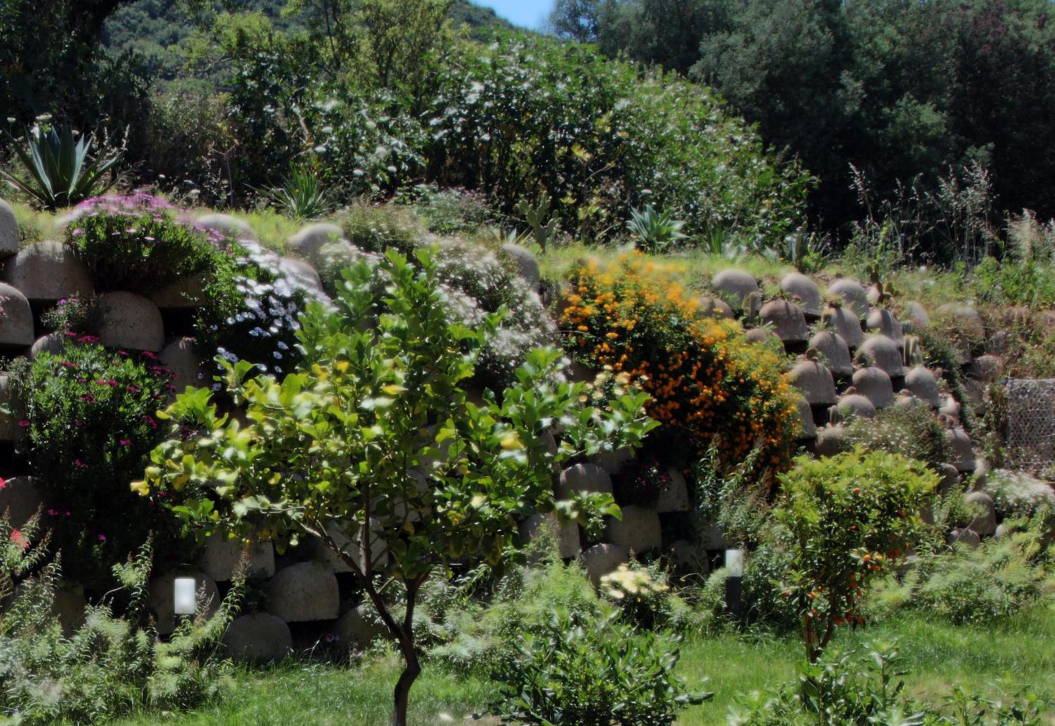 Residenza RoMa