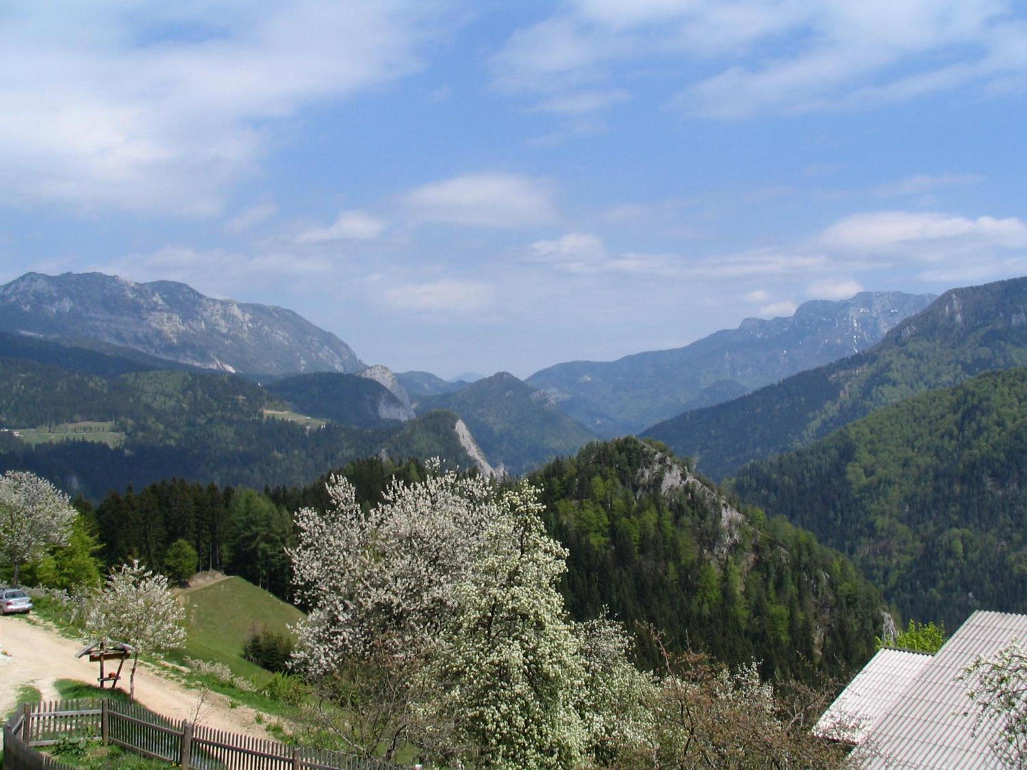 Photo 23