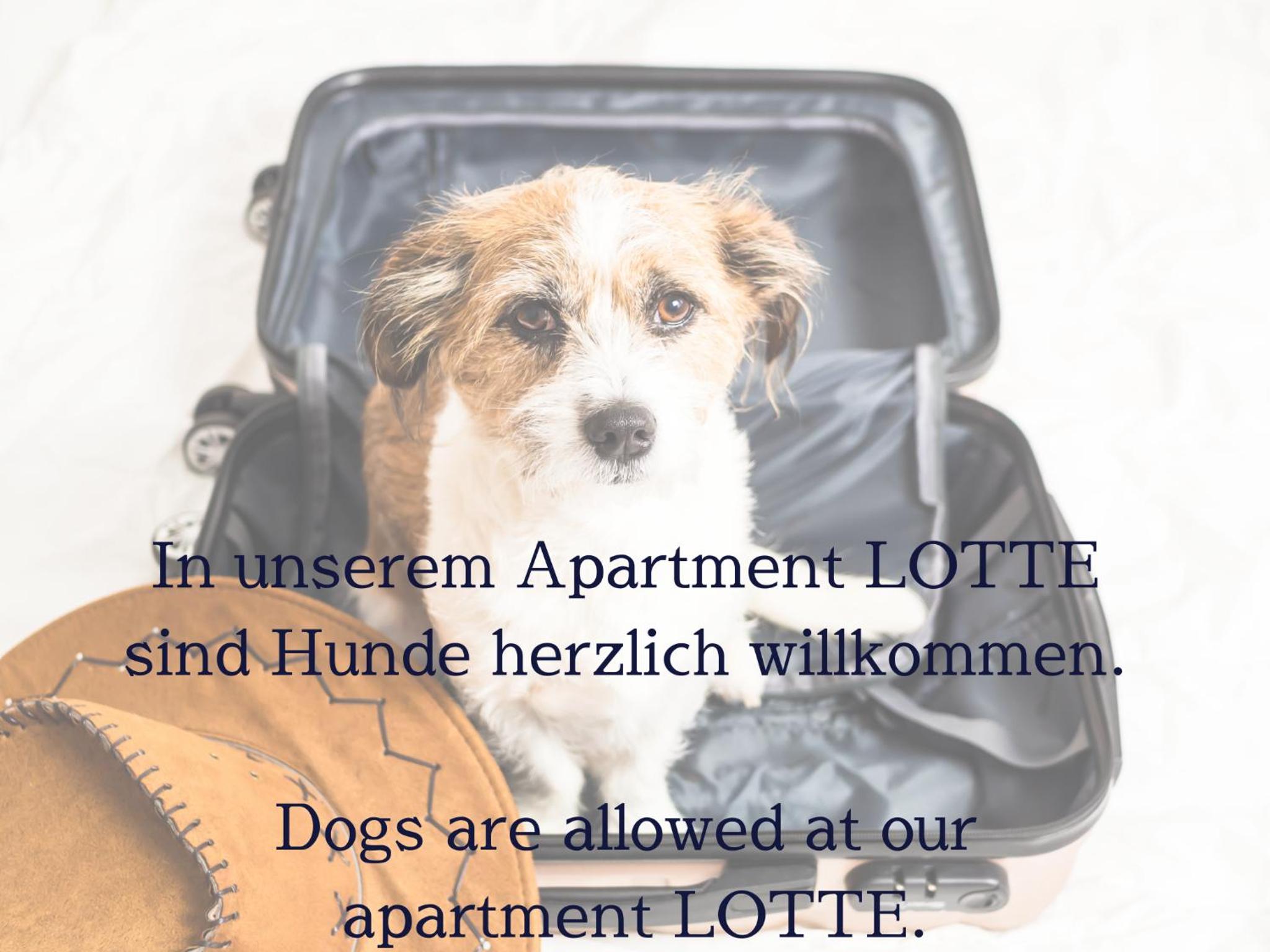 JUNE APARTMENTS stilvolle neue Apartments in Detmold - zentral, kostenfrei parken, 2 Schlafzimmer