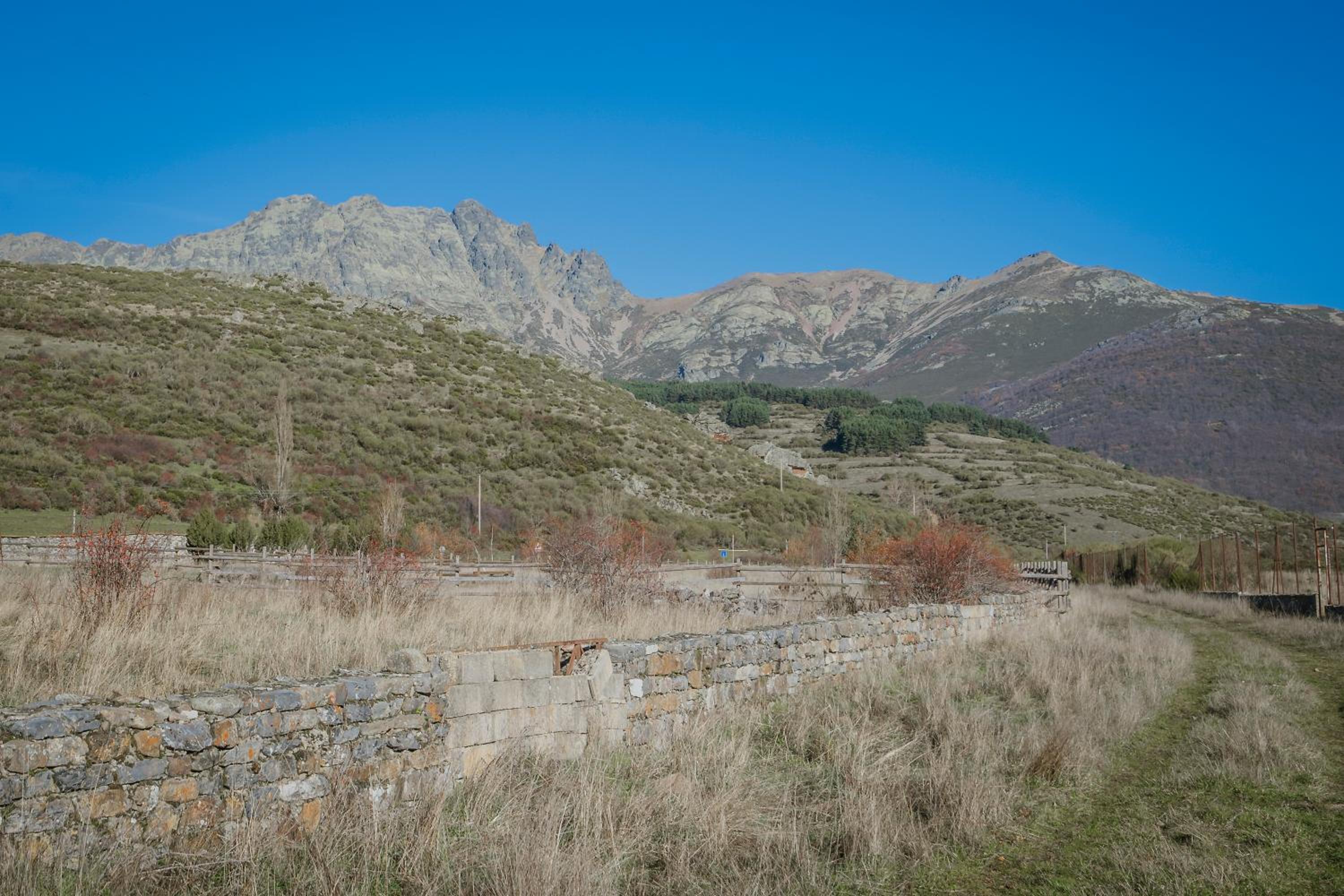 El Corcal