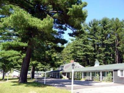 White Trellis Motel