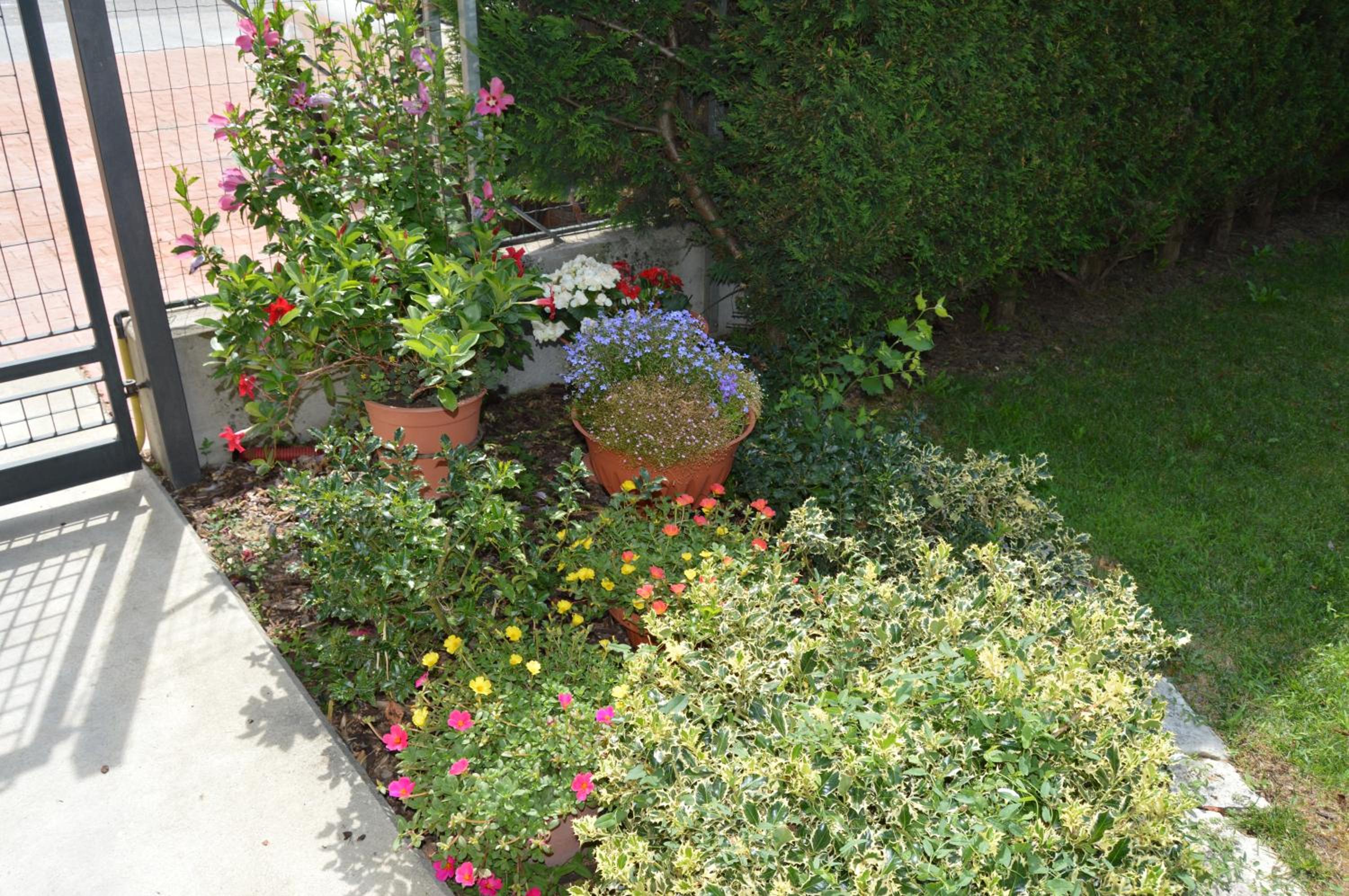 Photo 28