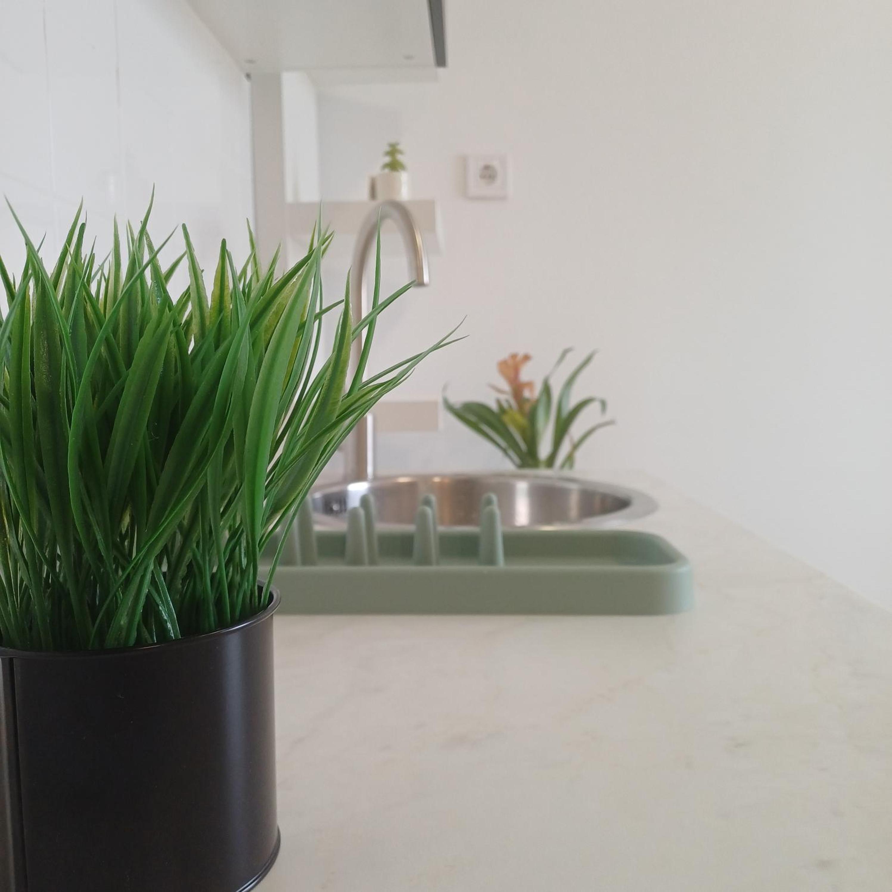 Your Home in Porto 1480 Style and Comfort