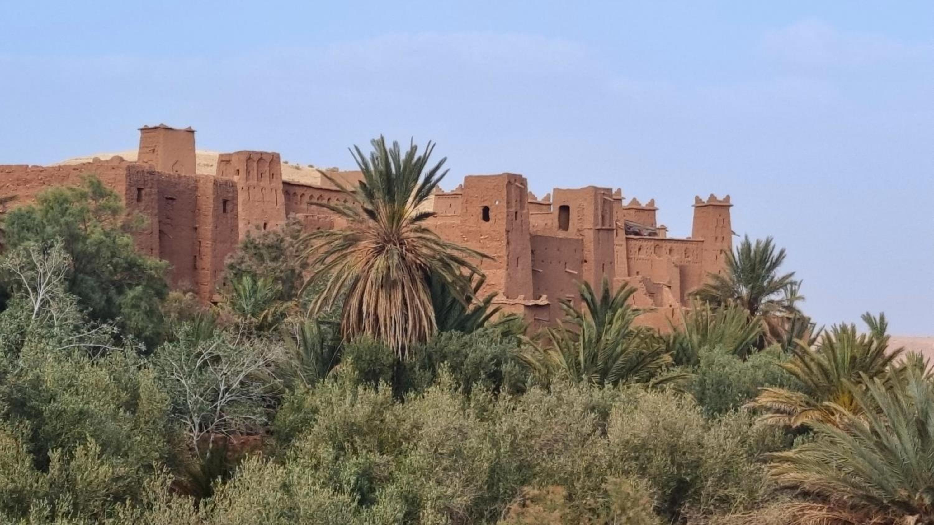 Riad 49 G26