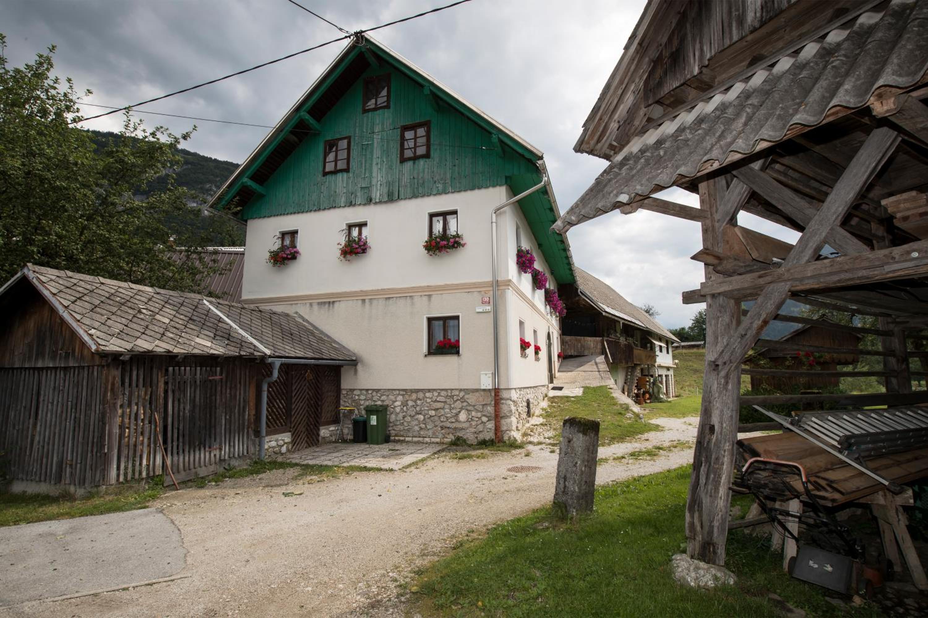 Photo 6