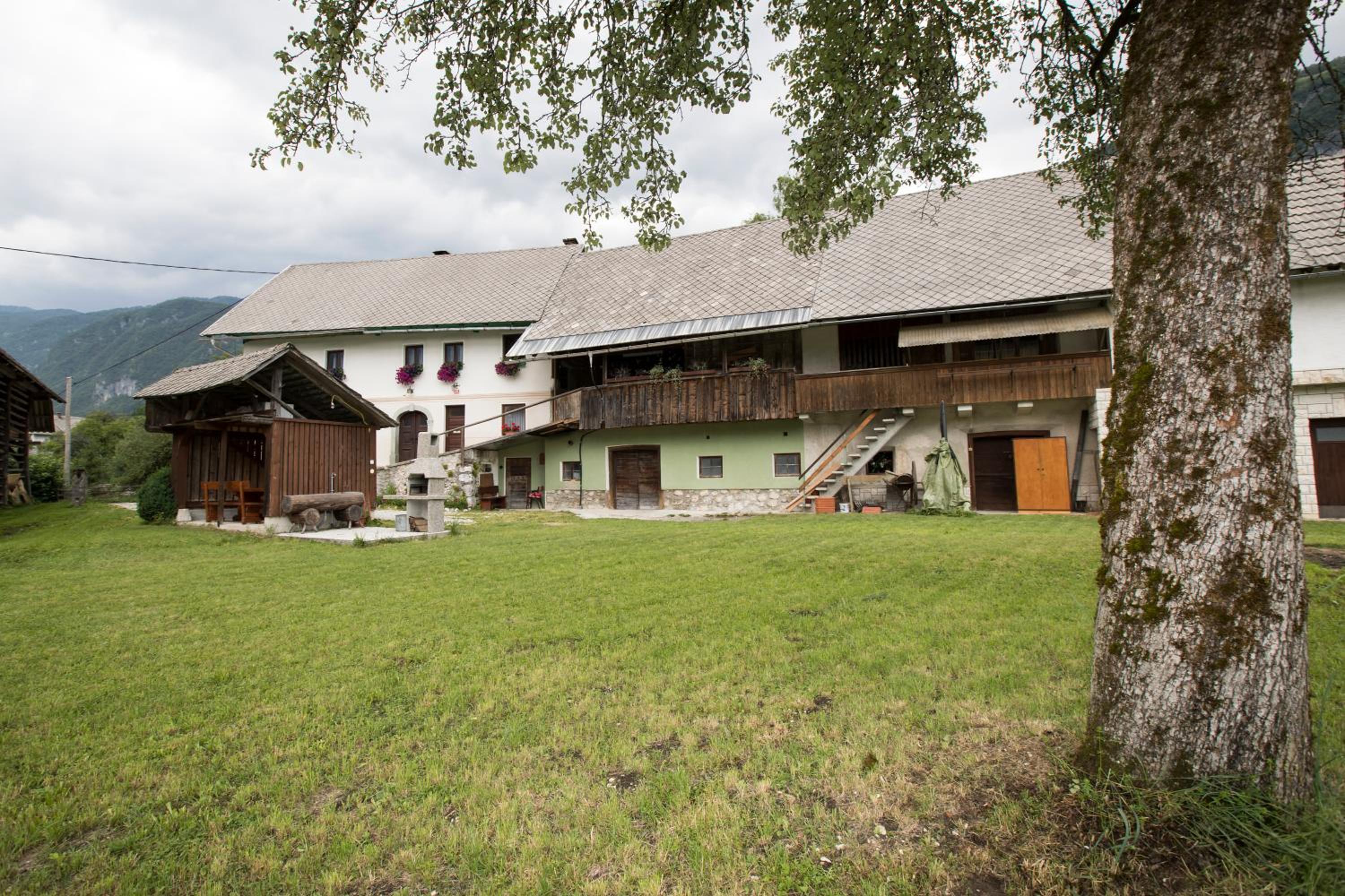 Photo 29