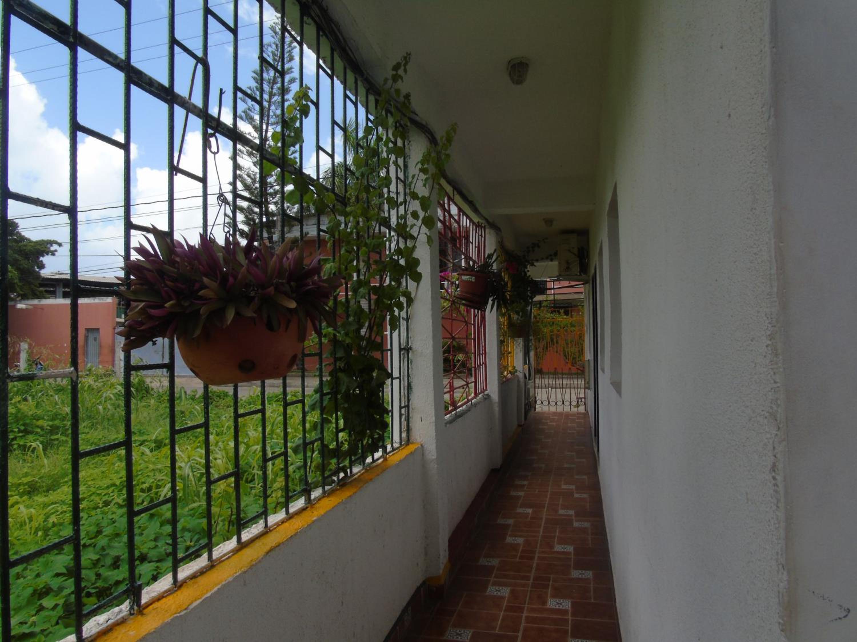 Photo 49