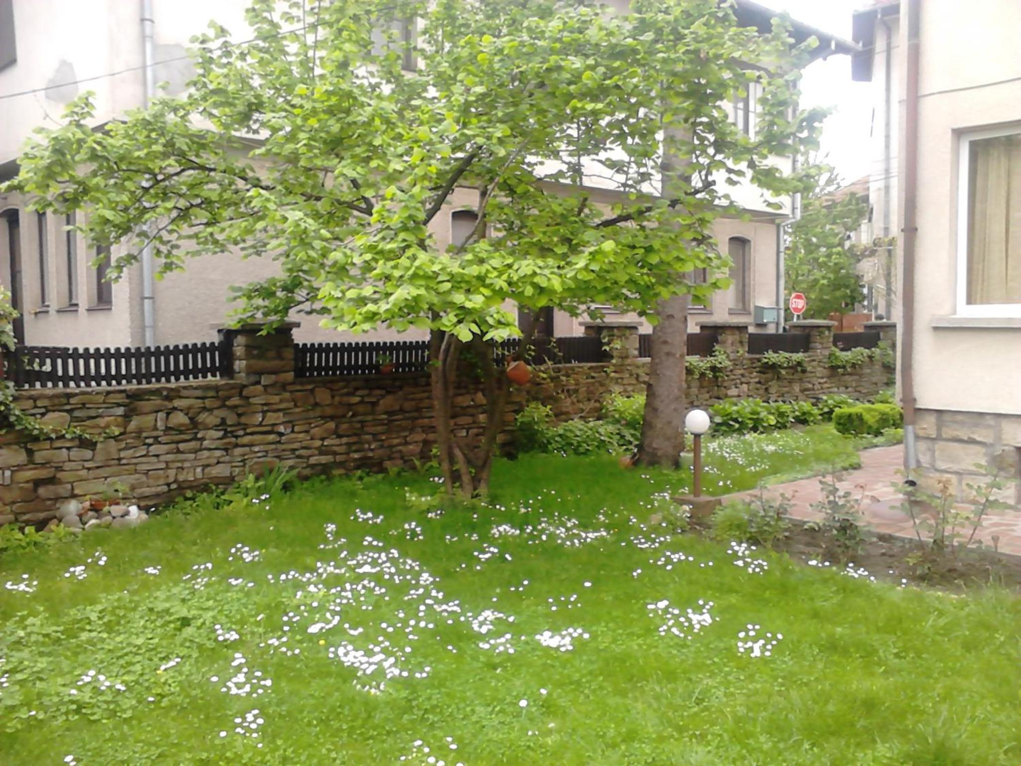 Borova House