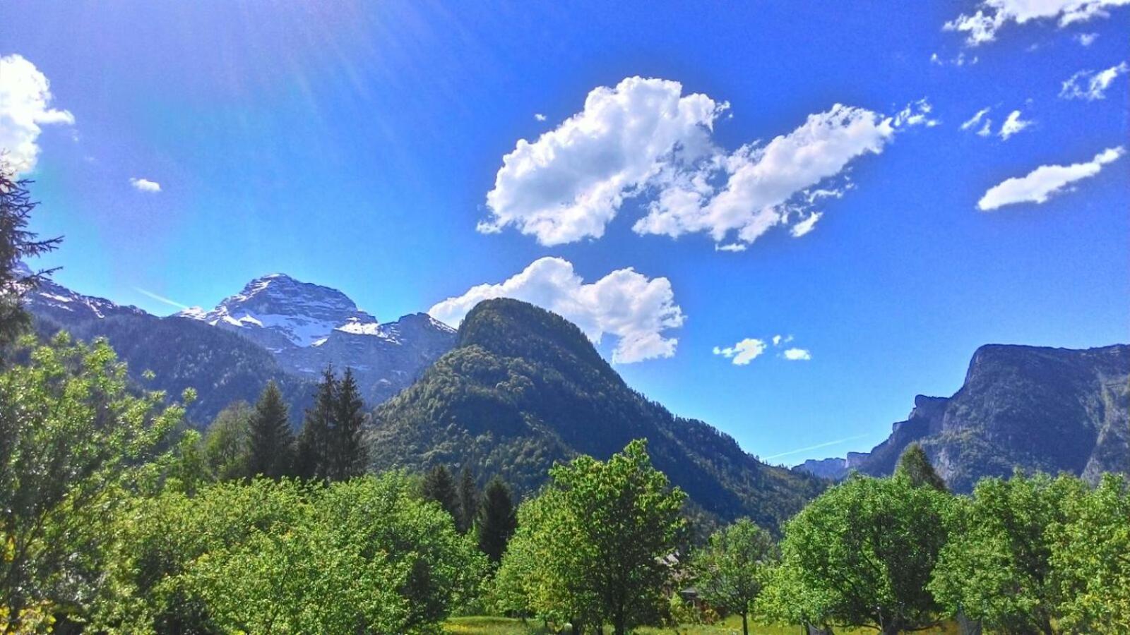 Pension Wildental
