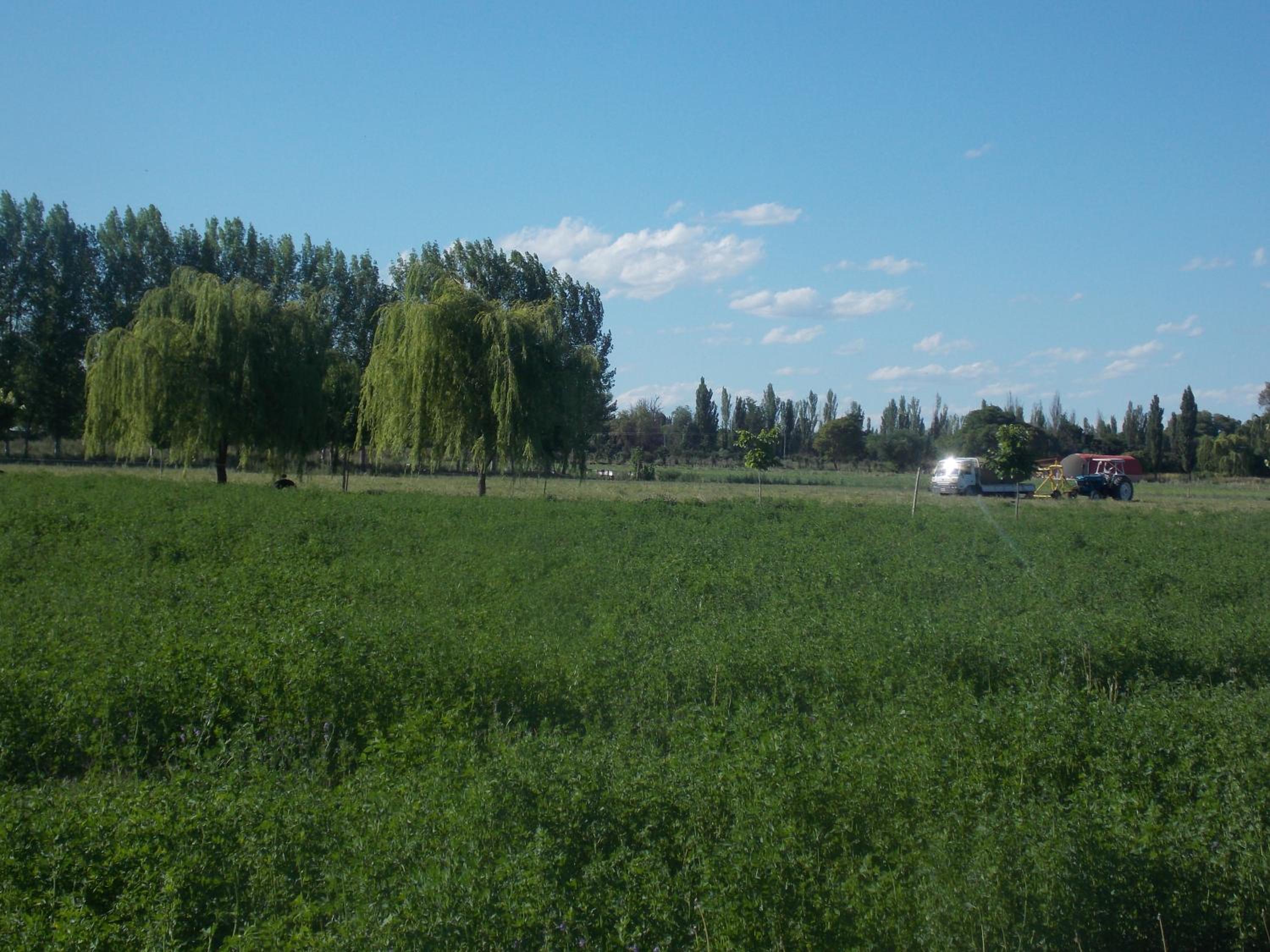 Casa Rural La Colmena