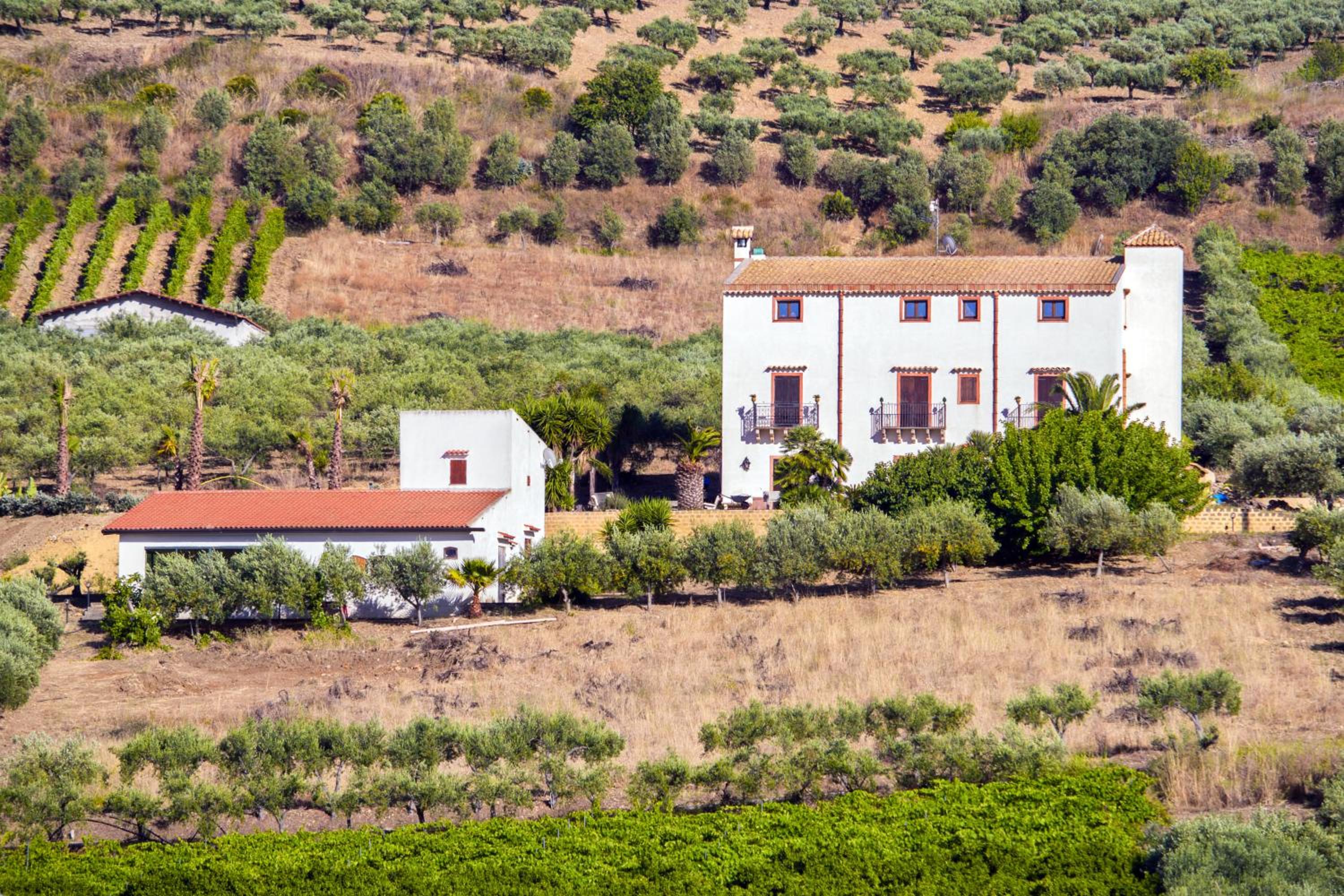 Tenute Piazza Countryhouse