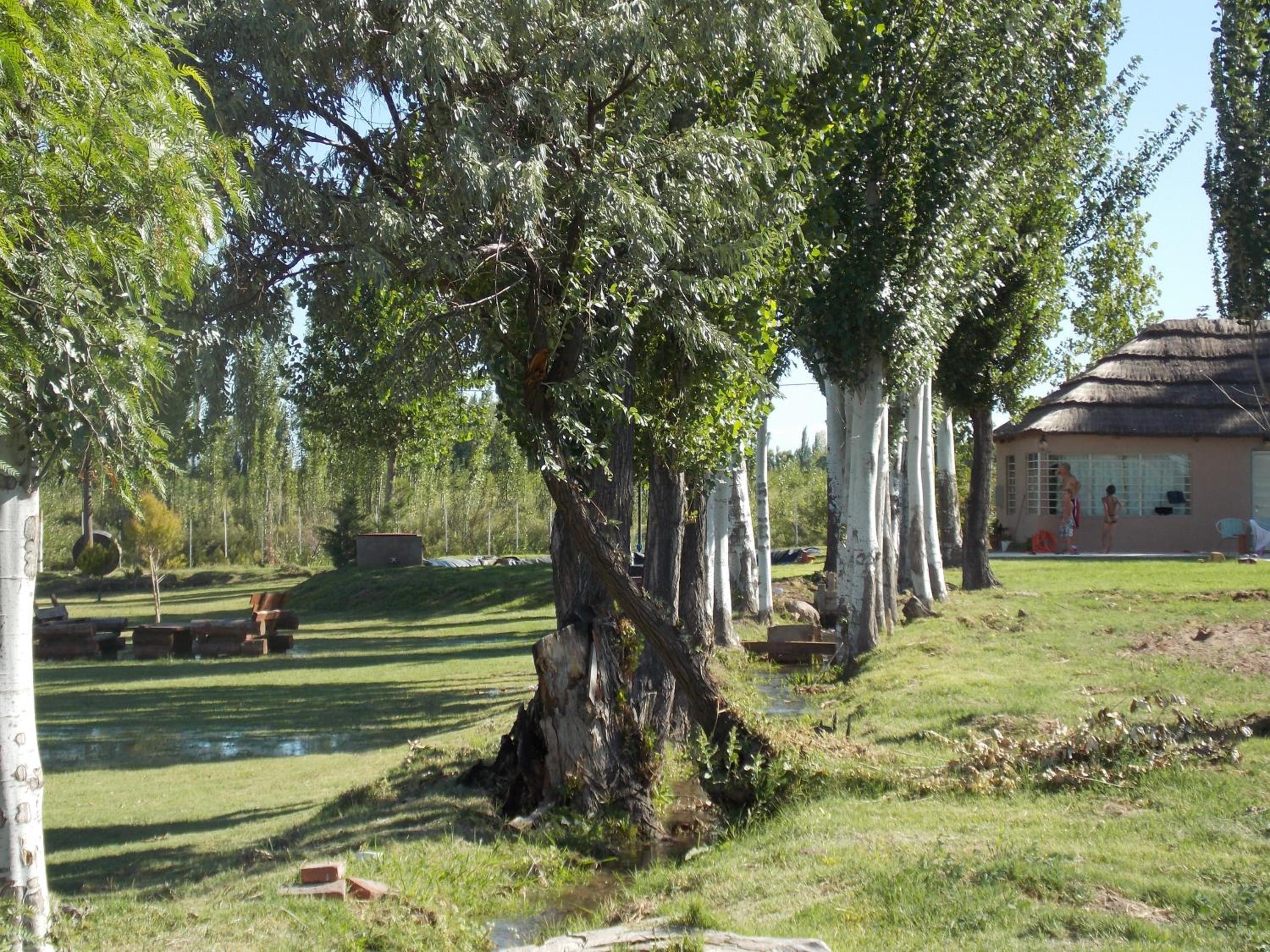 Casa Rural La Colmena