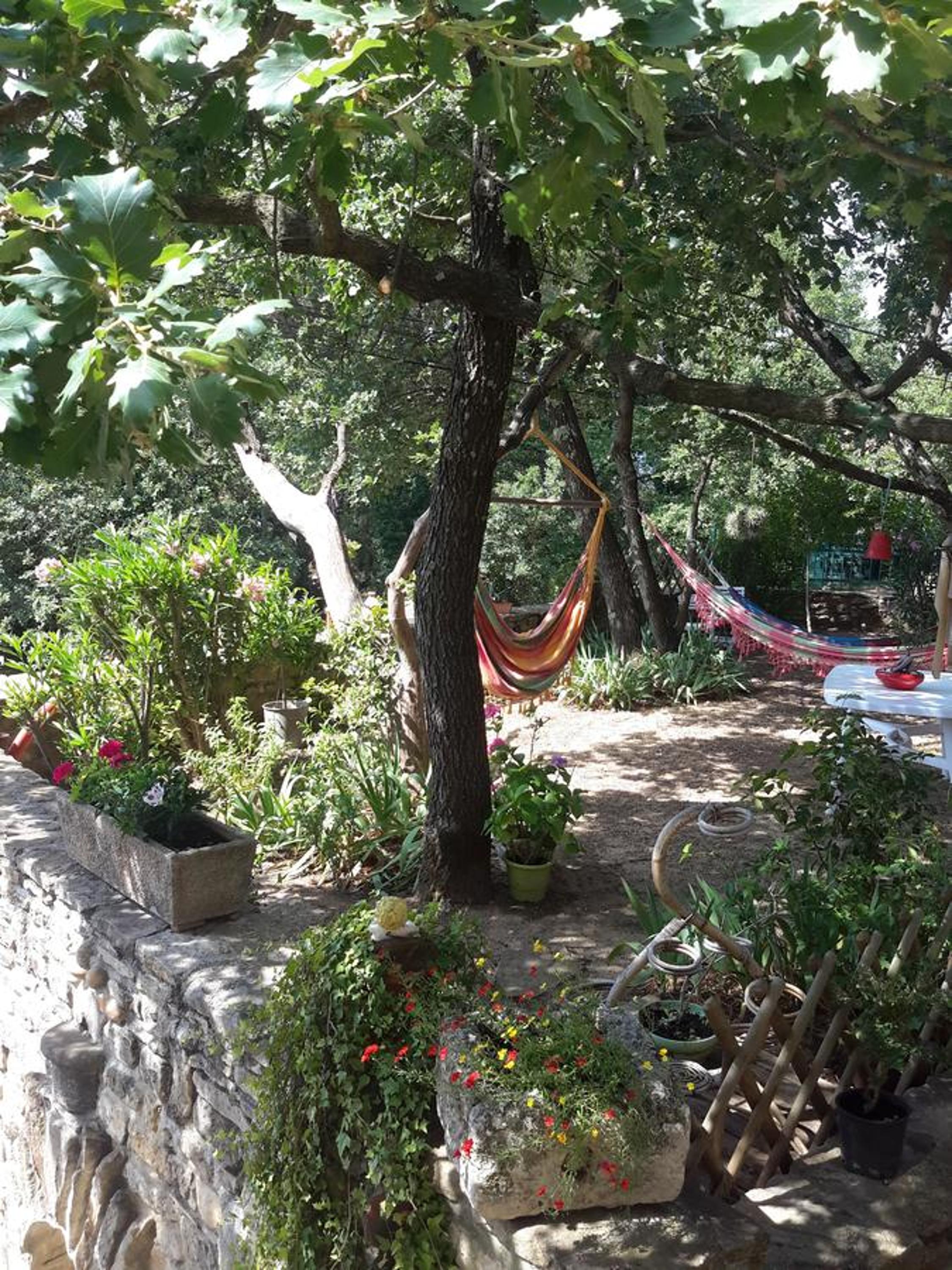 Om'Sleeping B&B, photo 5