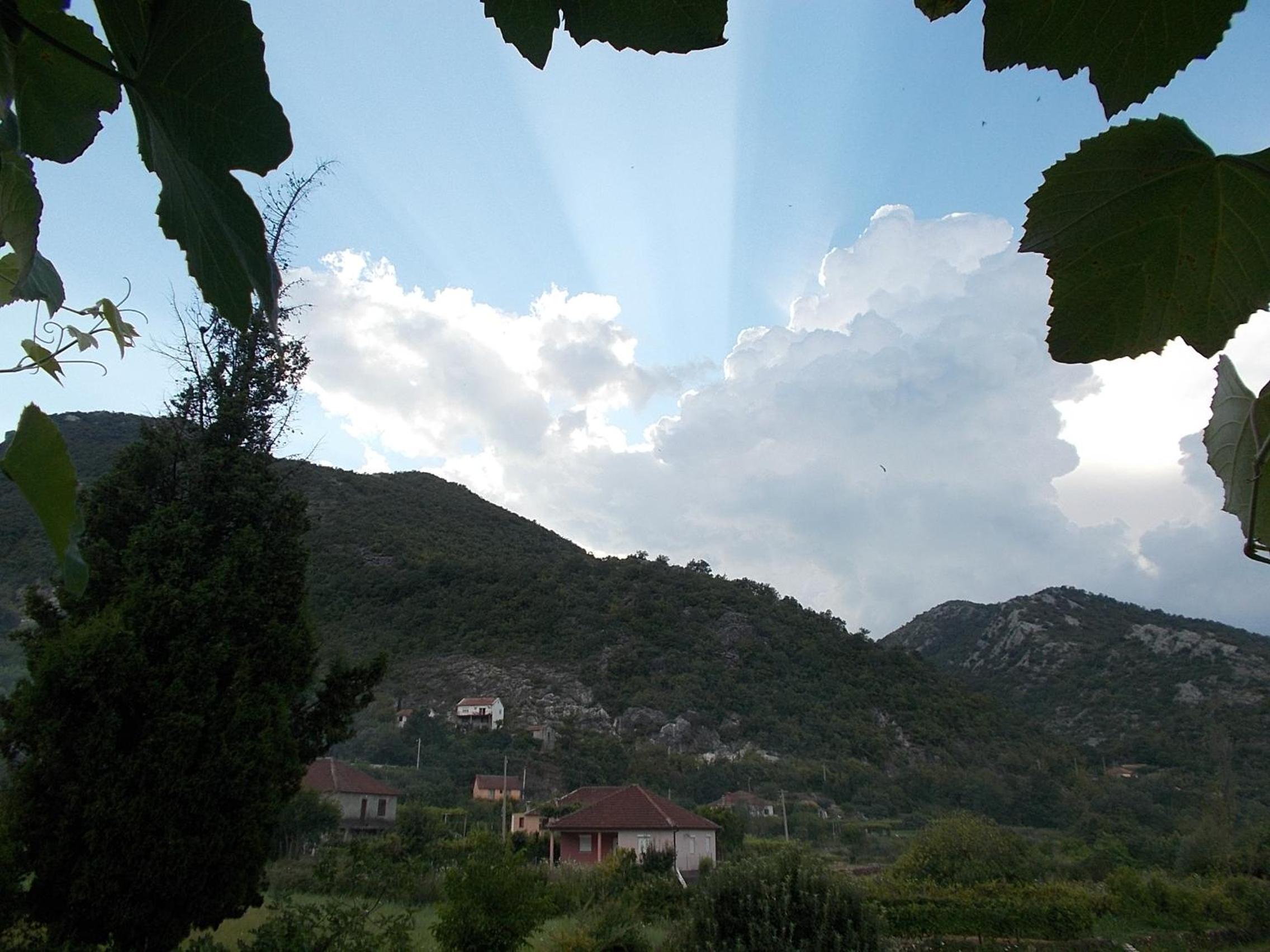 Photo 57