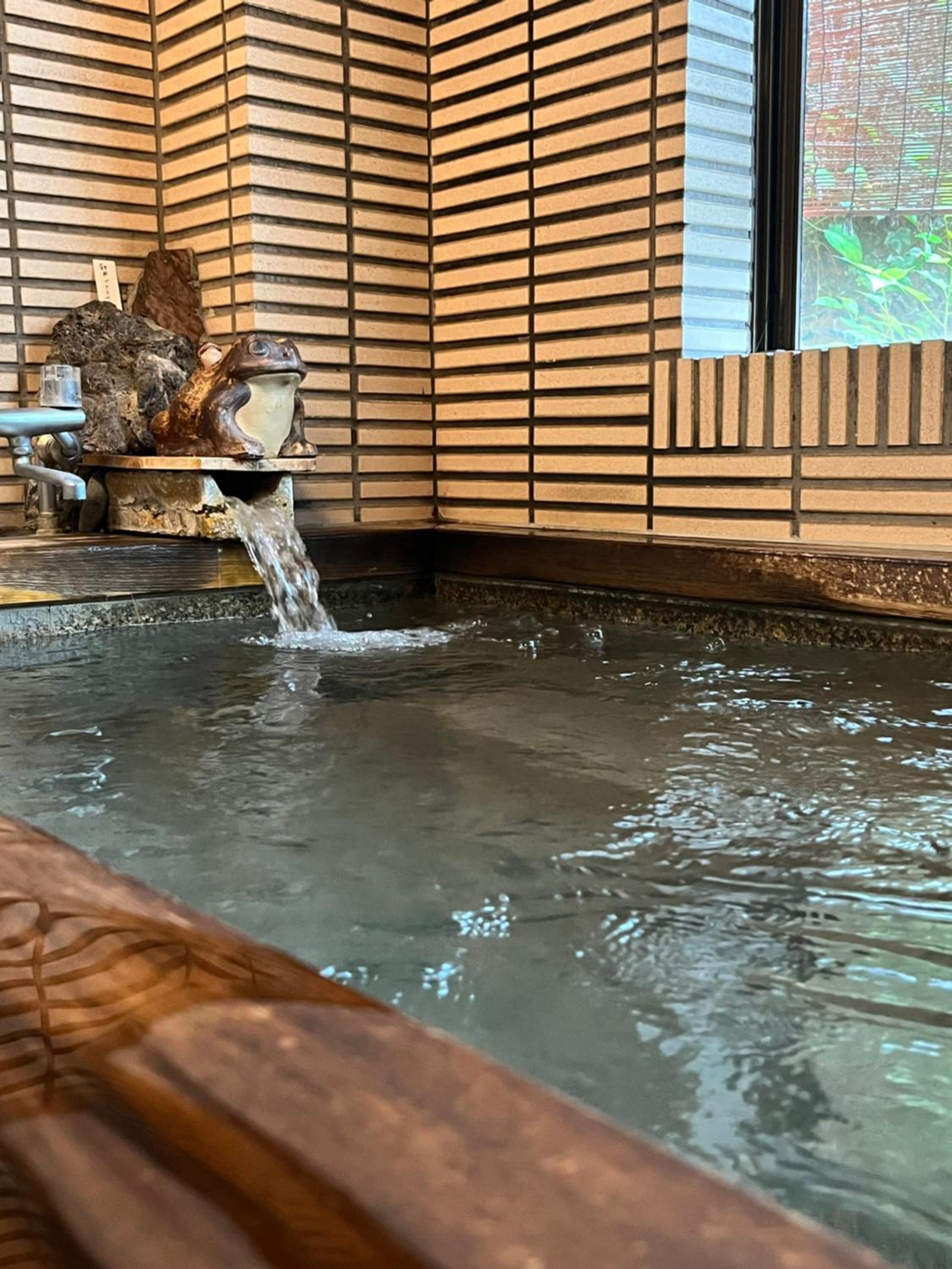 民話の宿荒澤屋旅館 Atasawaya Ryokkan, a inn of folk tales