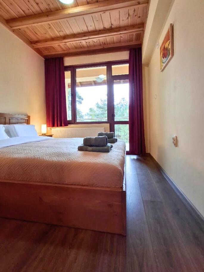 Margarita Mountain Apartments