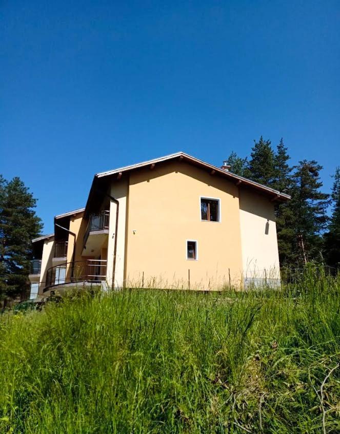 Margarita Mountain Apartments