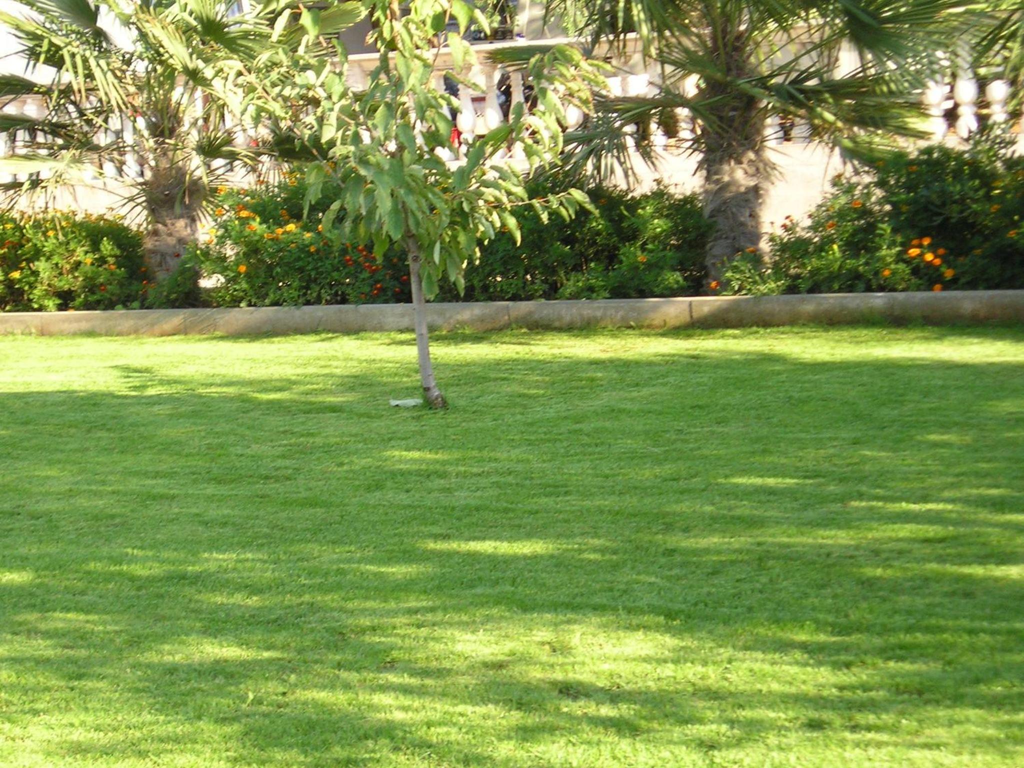 Photo 33