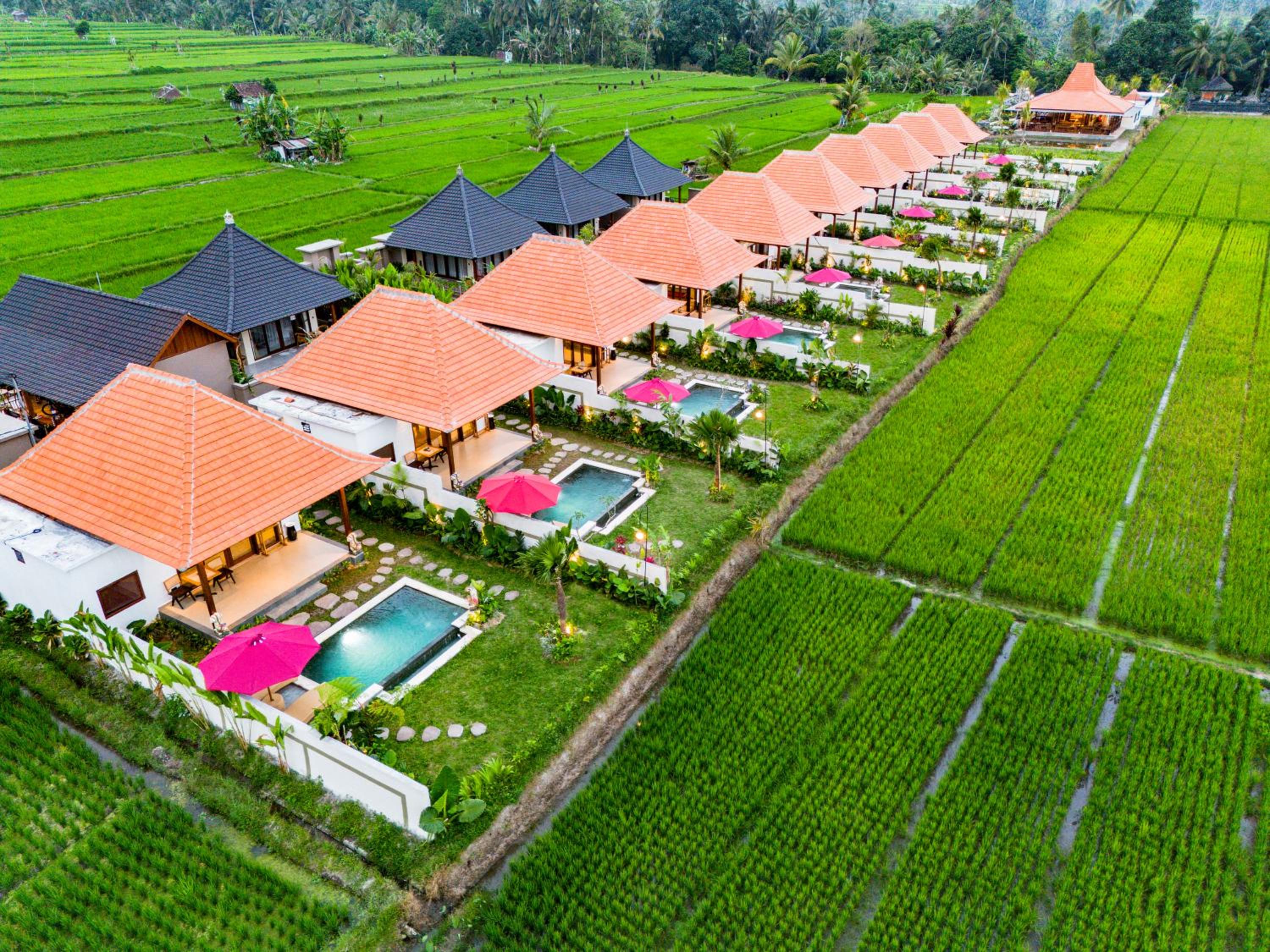 Akshaya Resort Ubud by Dhananjaya Hospitality