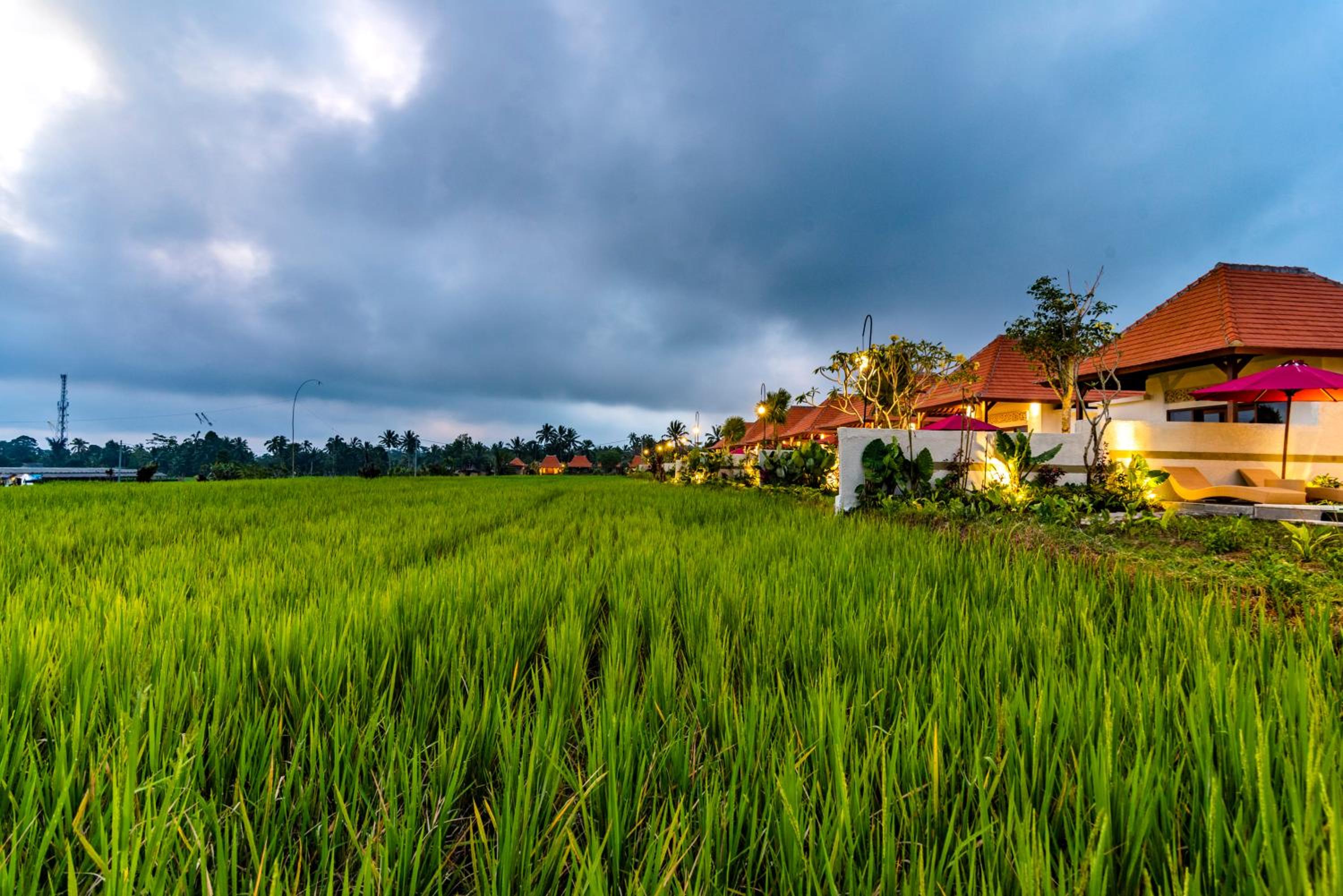 Akshaya Resort Ubud by Dhananjaya Hospitality