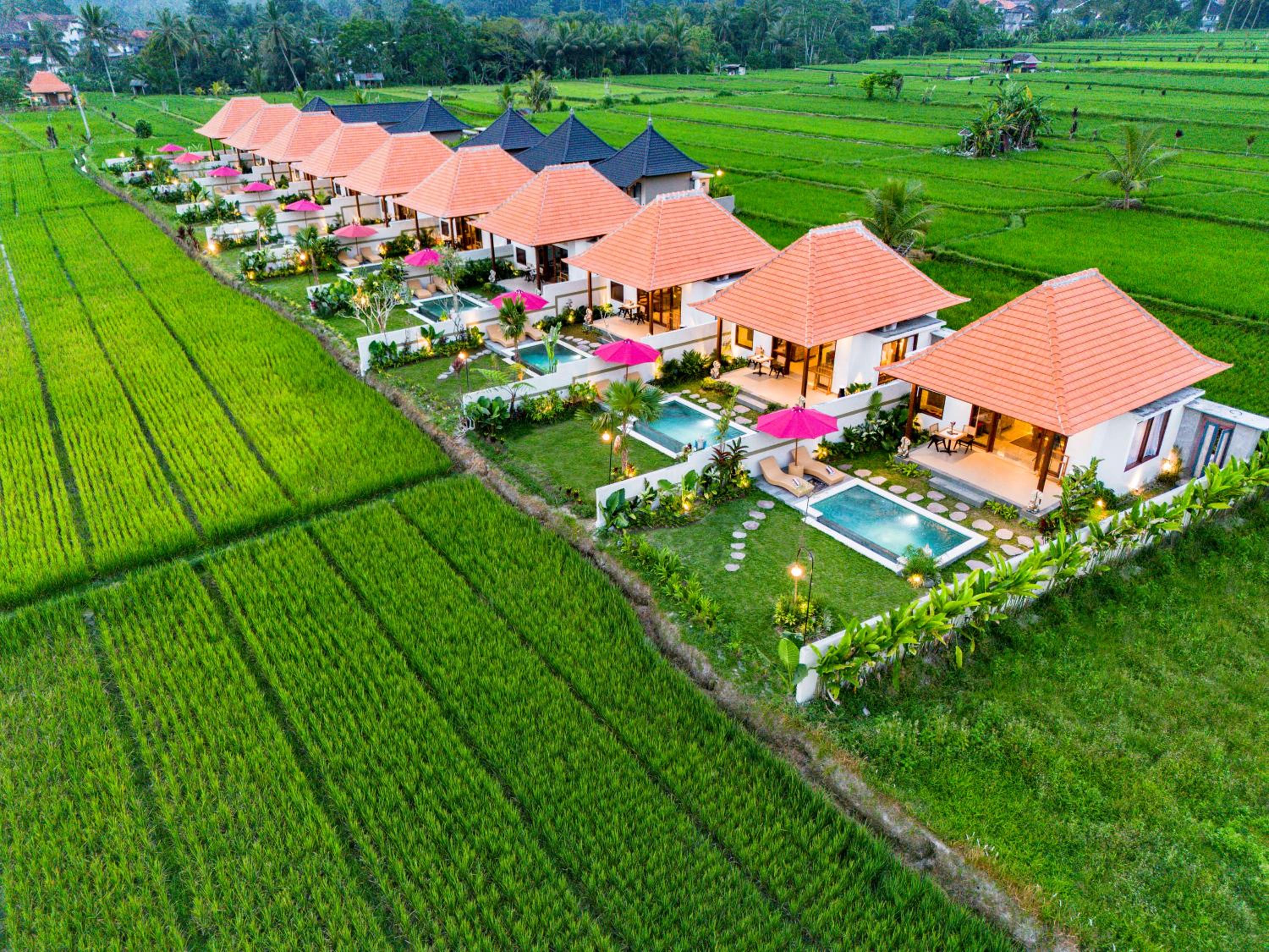 Akshaya Resort Ubud by Dhananjaya Hospitality