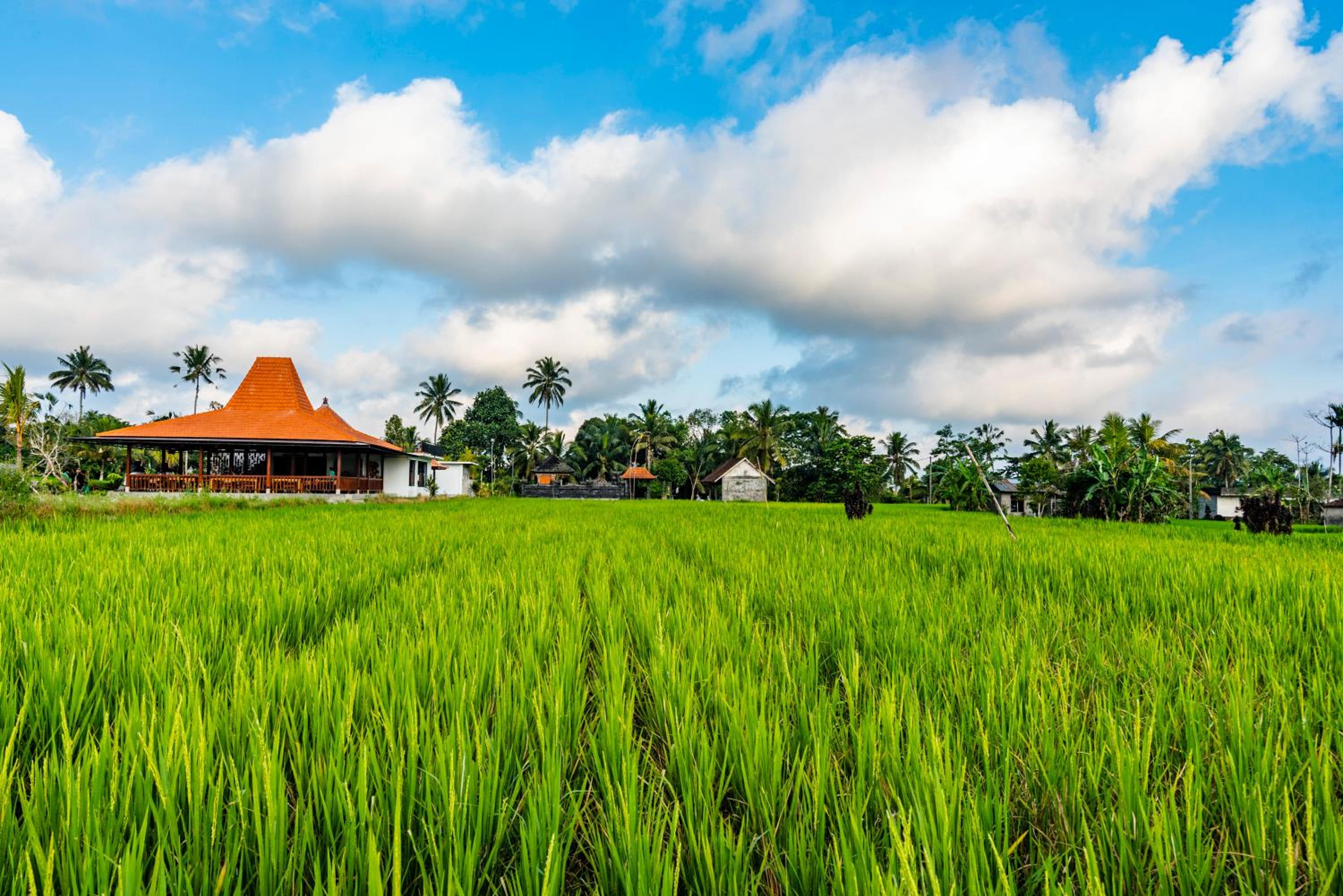 Akshaya Resort Ubud by Dhananjaya Hospitality